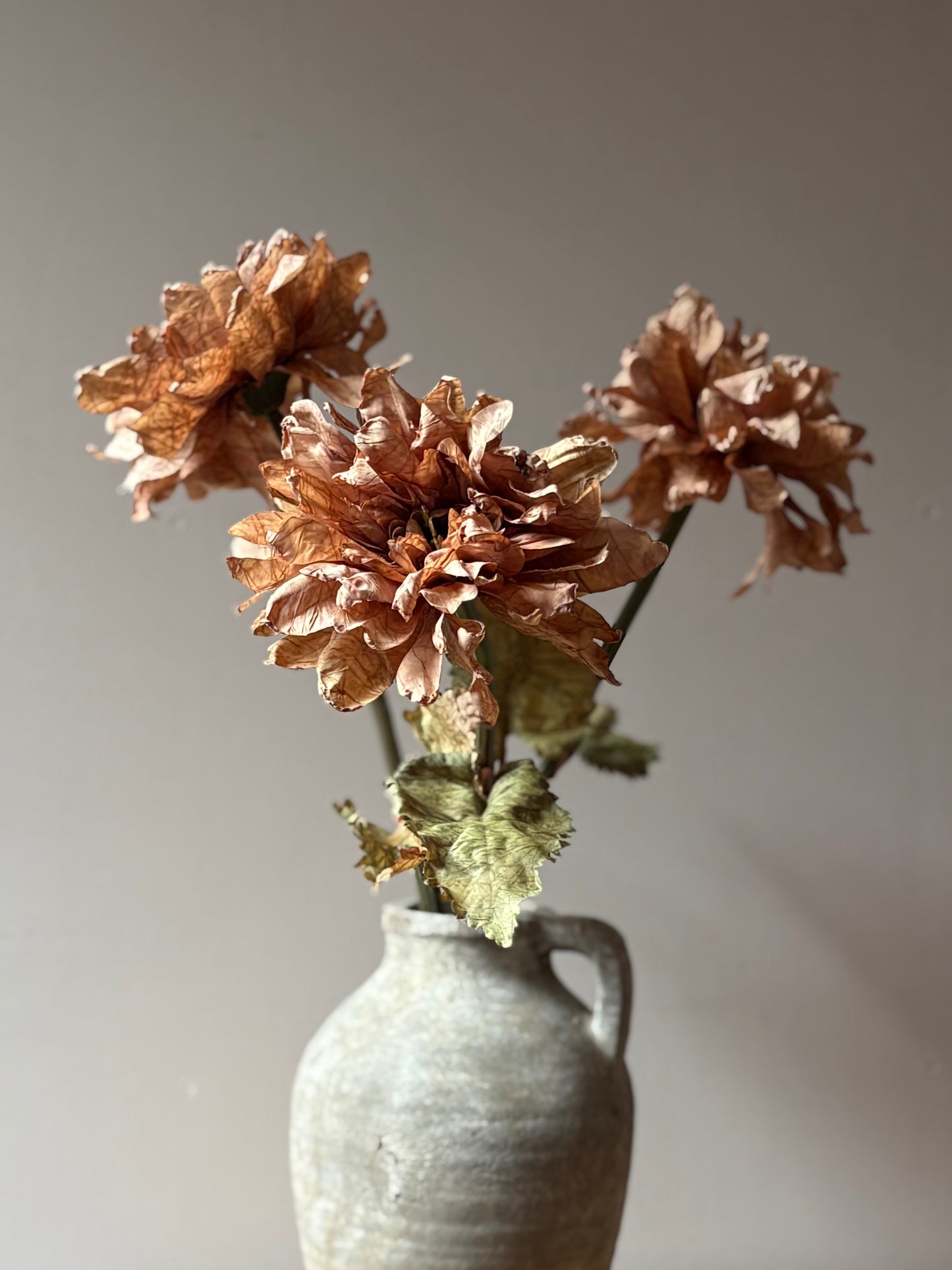 Vintage Dahlia in Latte