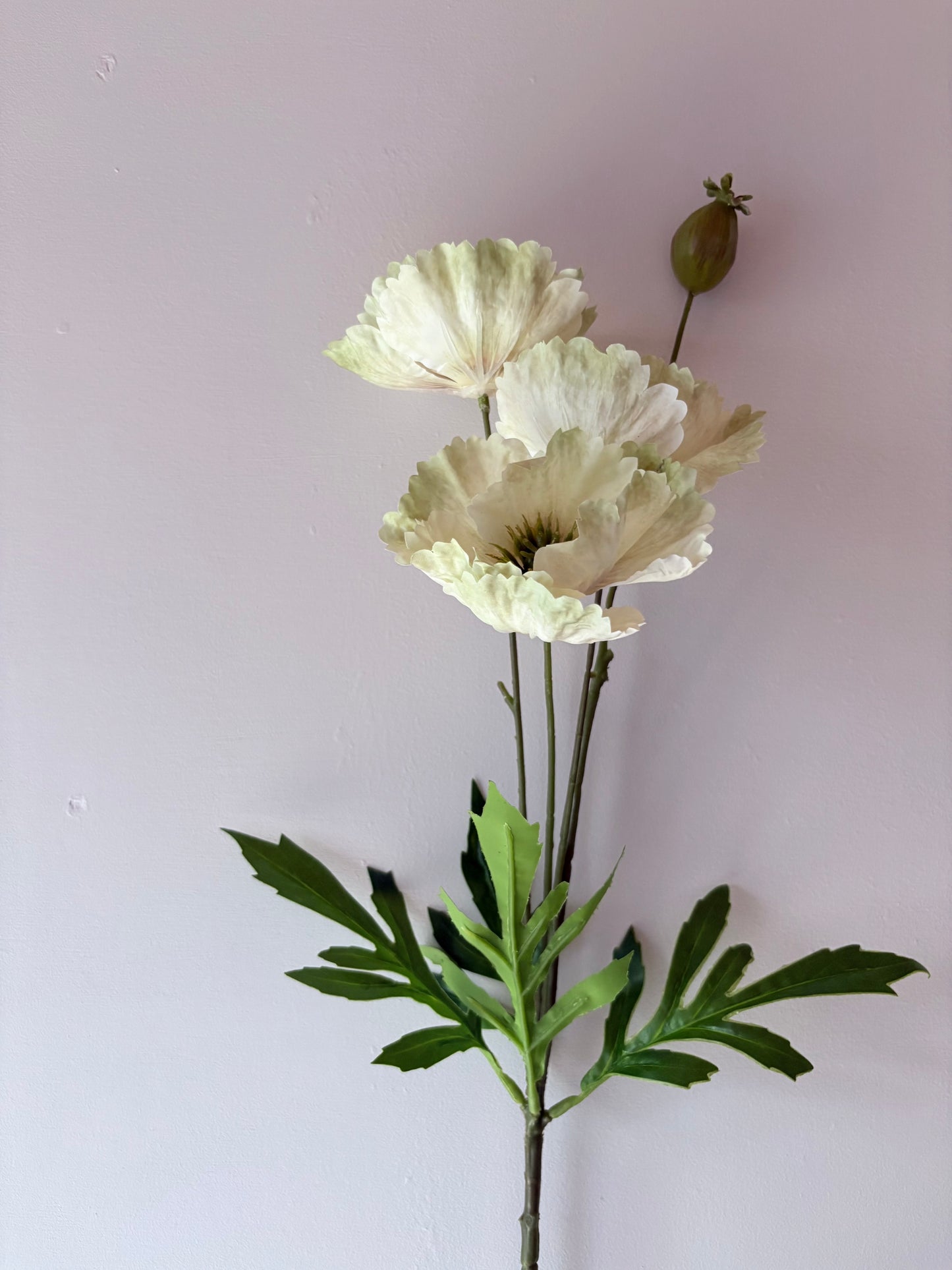 Country Poppy - Soft Lime-Green