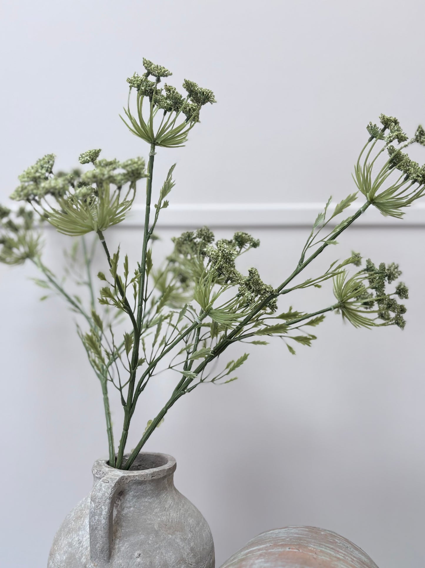 Cow Parsley - Green