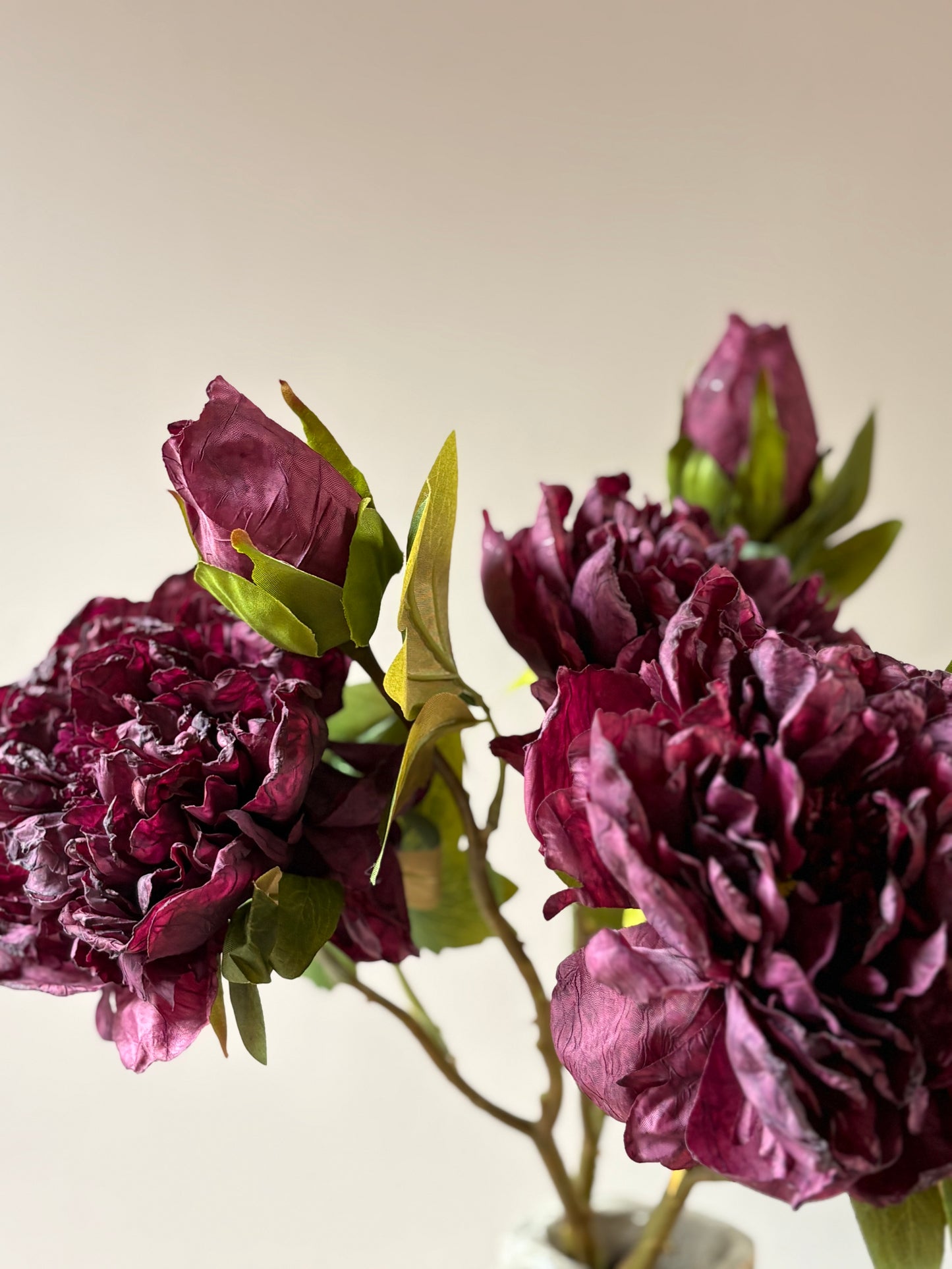 Full Bloom Double Peony in Mulberry