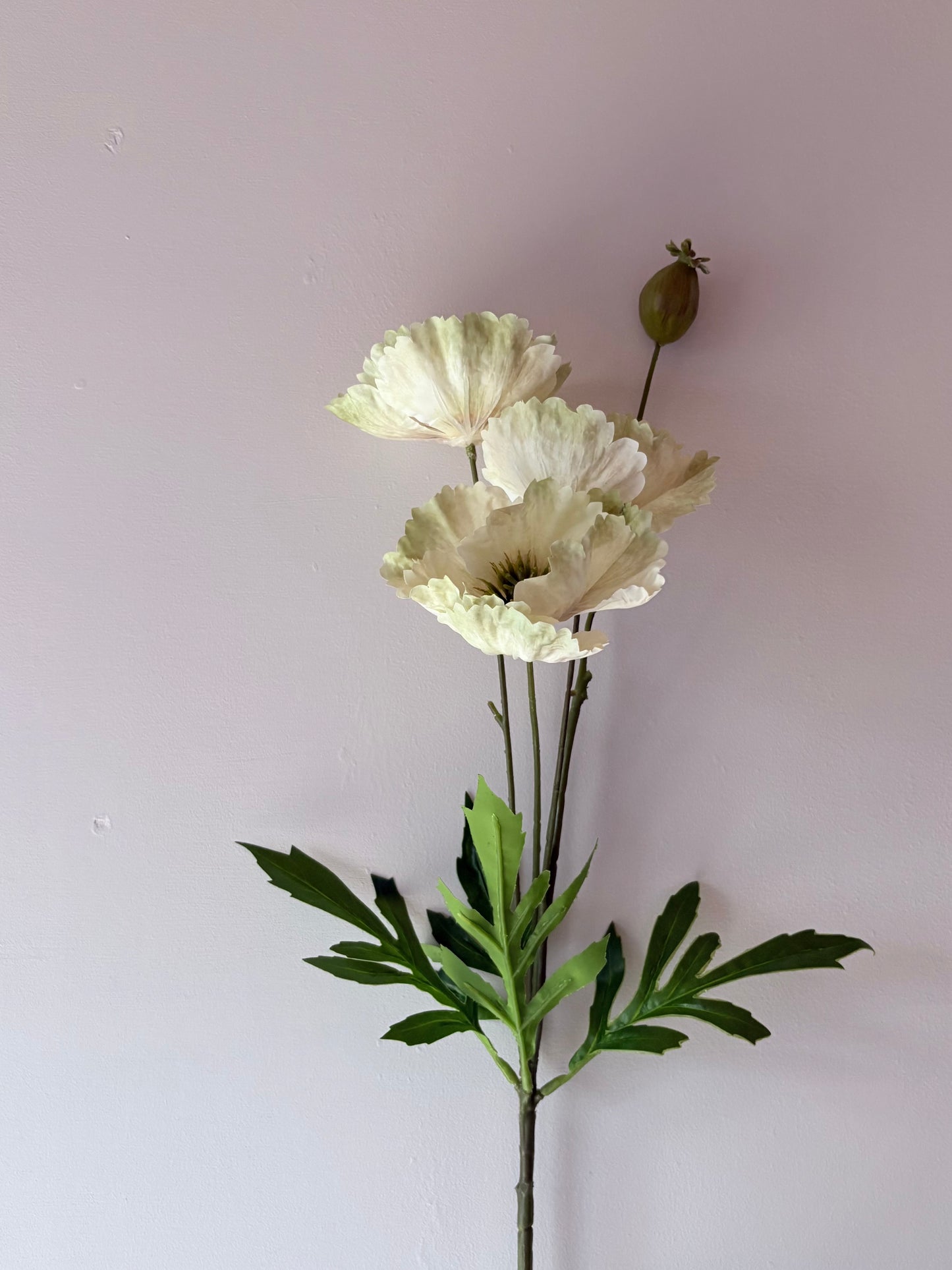 Country Poppy - Soft Lime-Green
