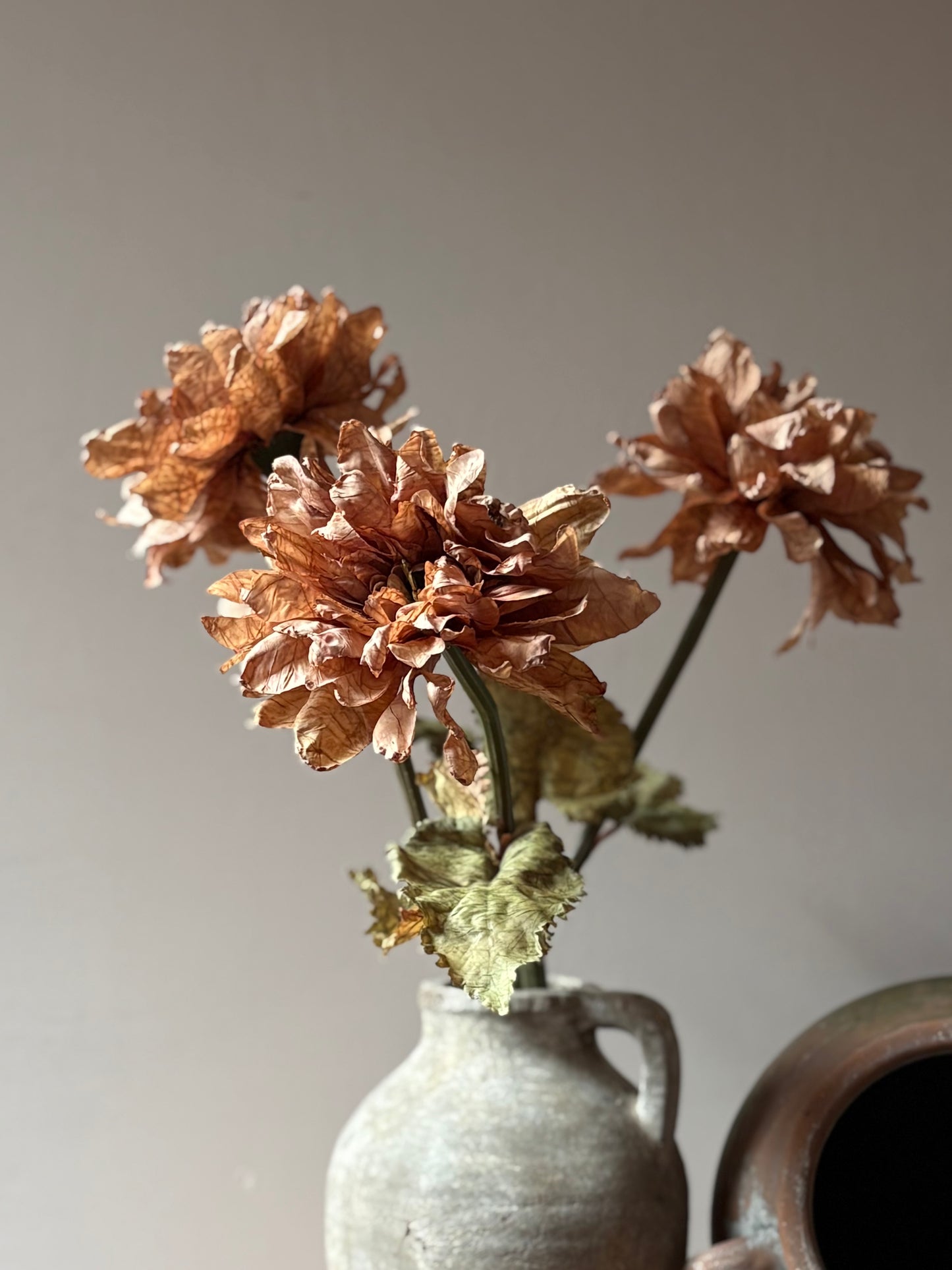 Vintage Dahlia in Latte