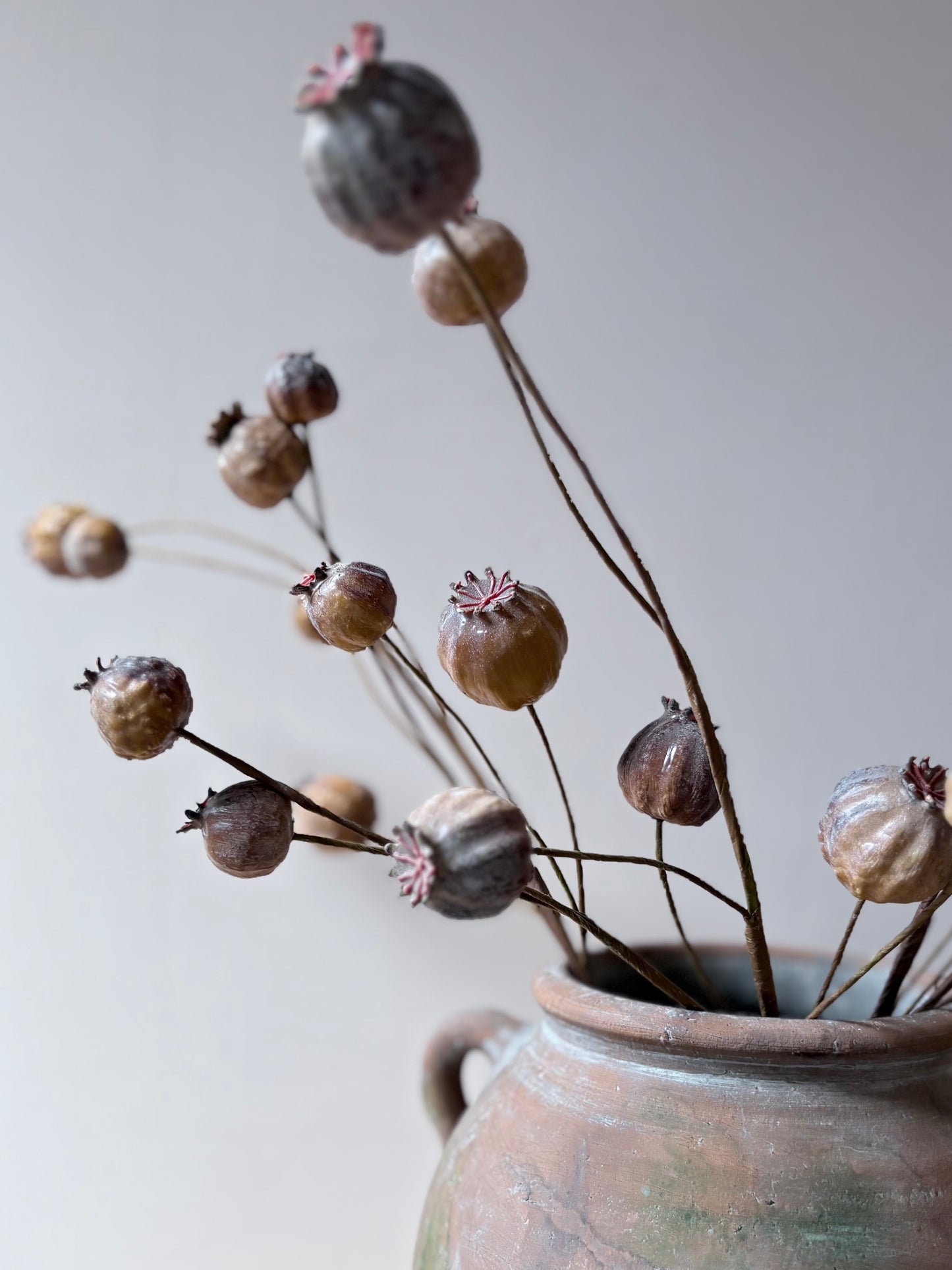 Poppy Seed Head - Brown