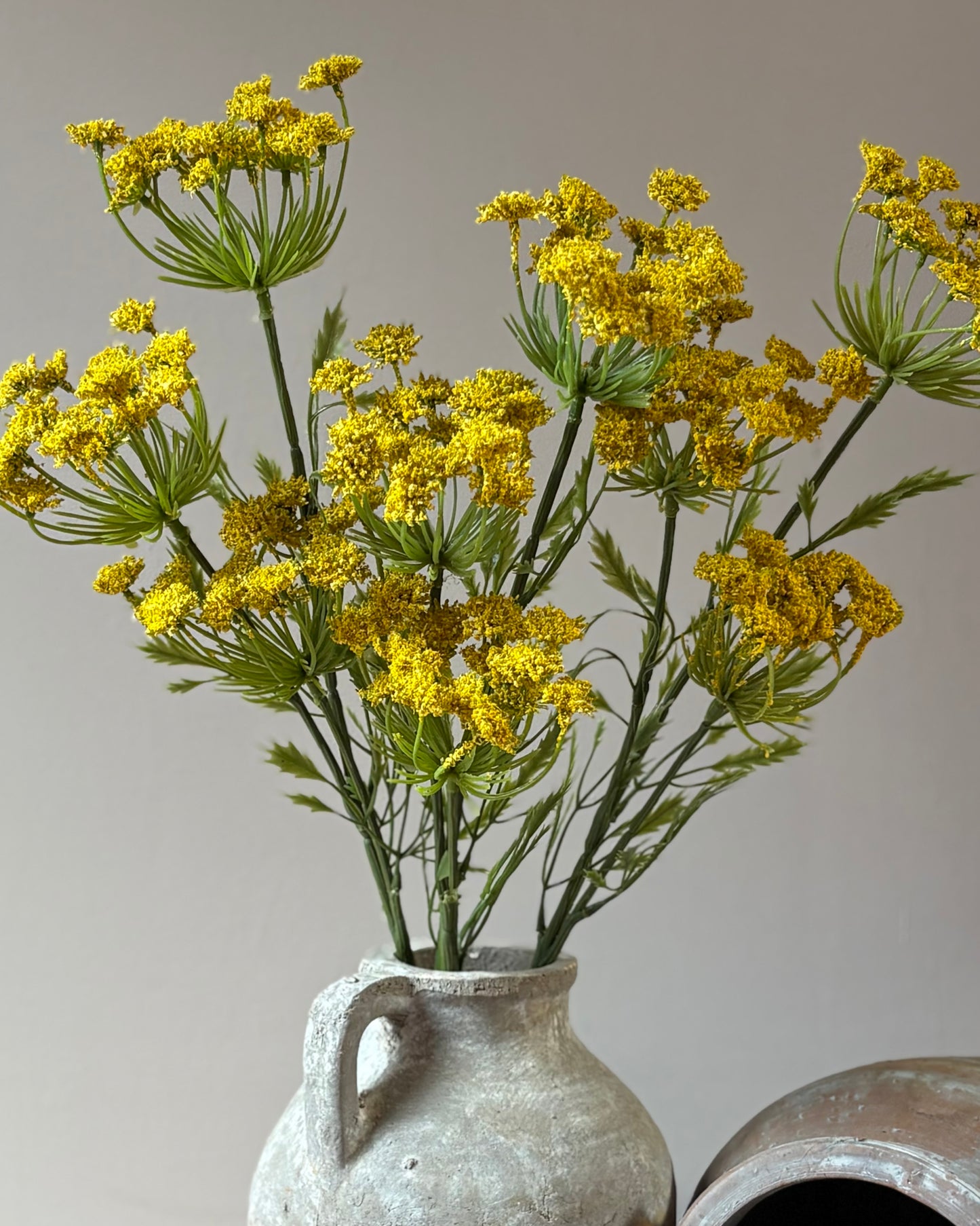 Cow Parsley Yellow