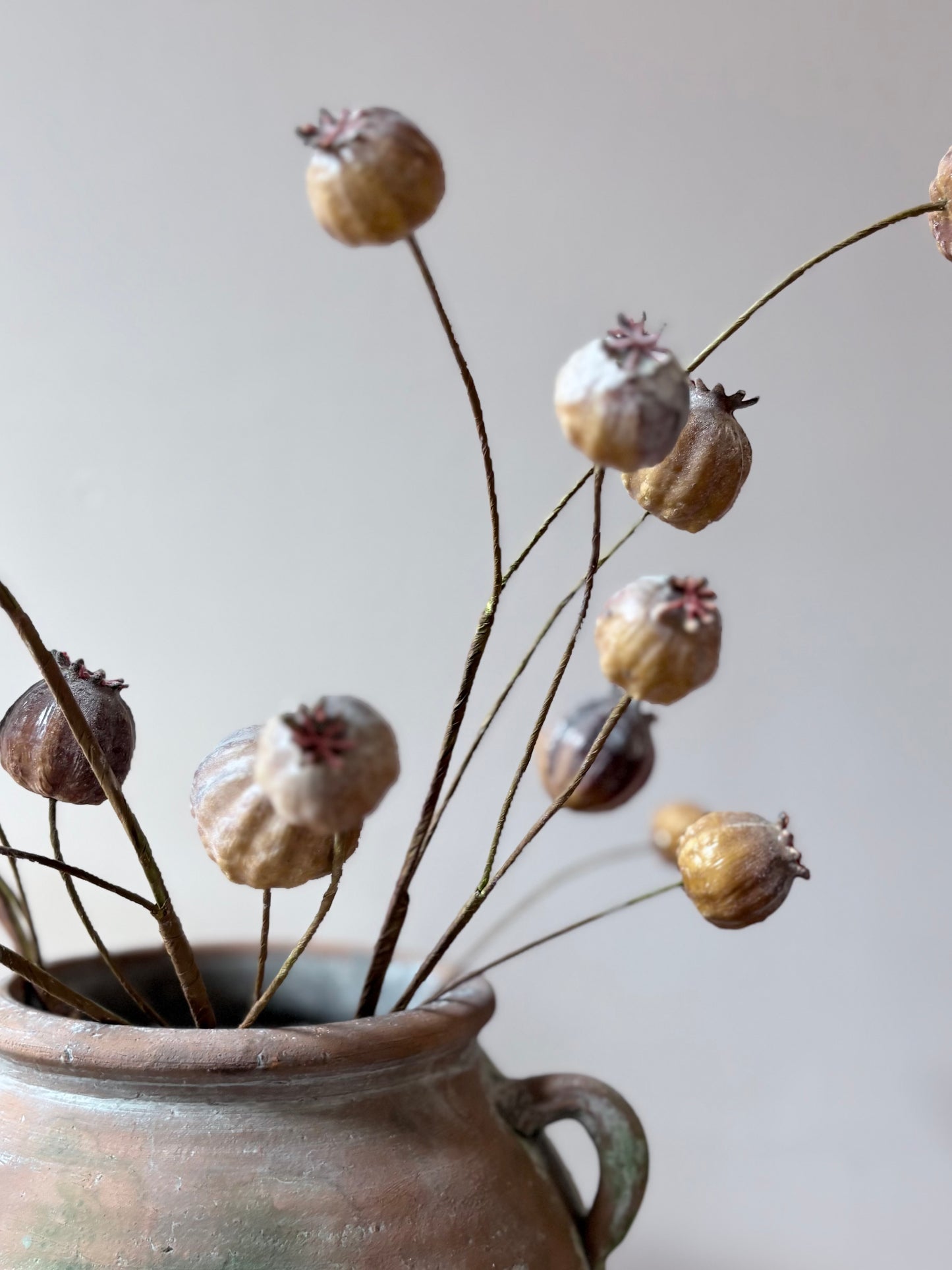 Poppy Seed Head - Brown
