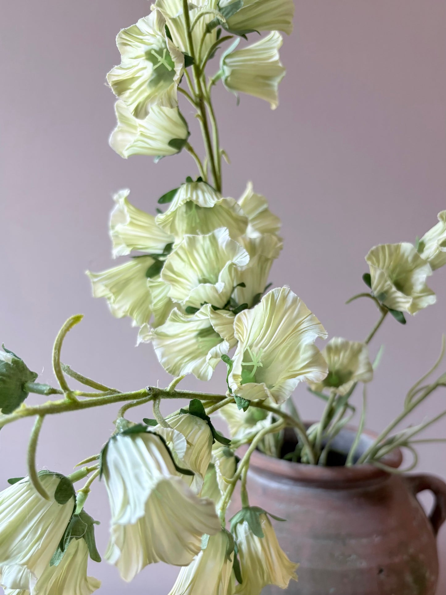 Canterberry Bells - Soft Lime