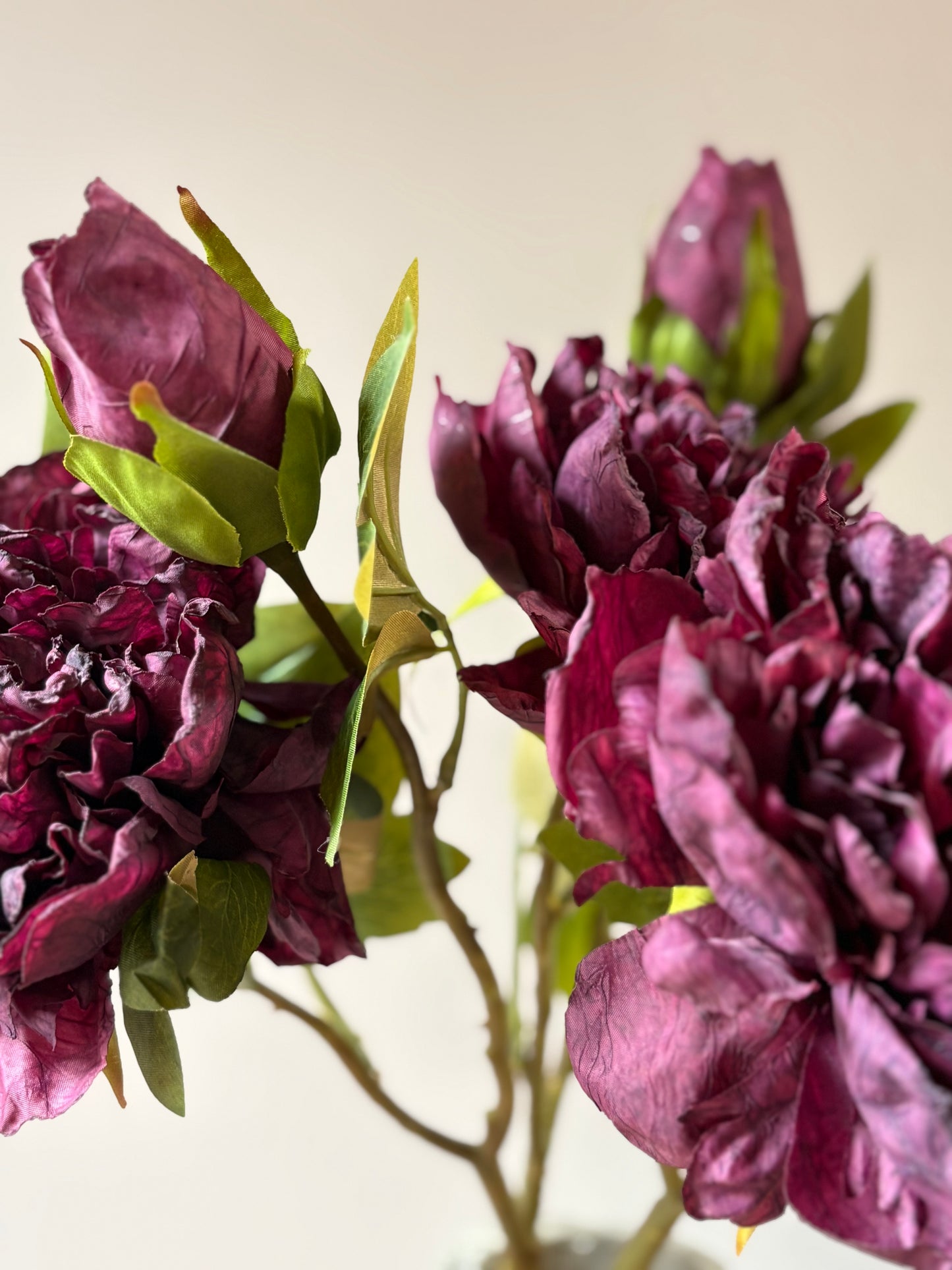 Full Bloom Double Peony in Mulberry