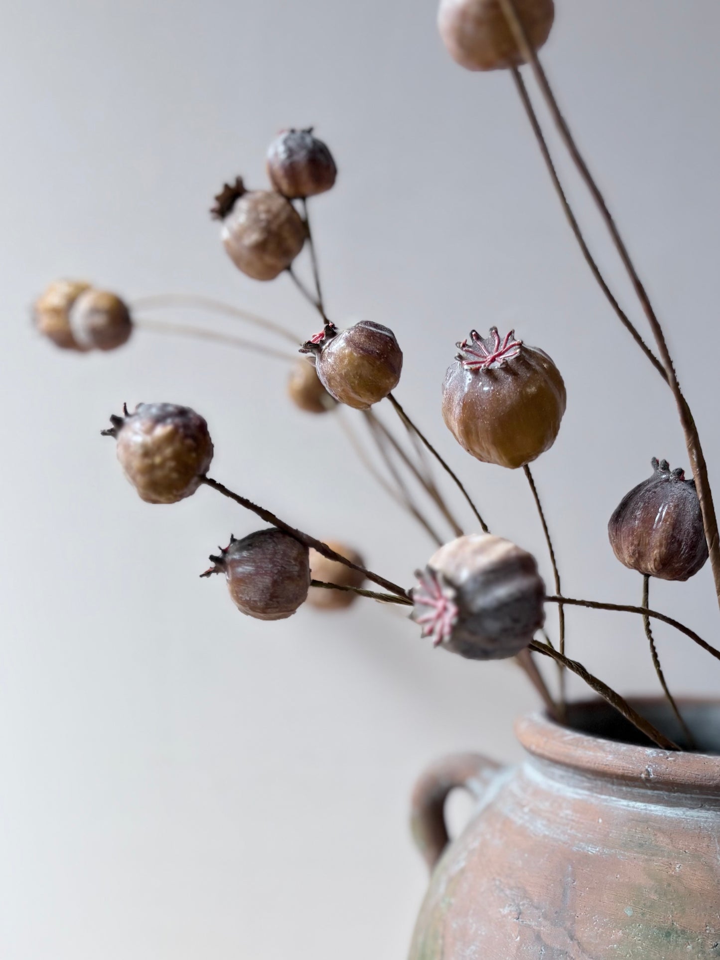 Poppy Seed Head - Brown