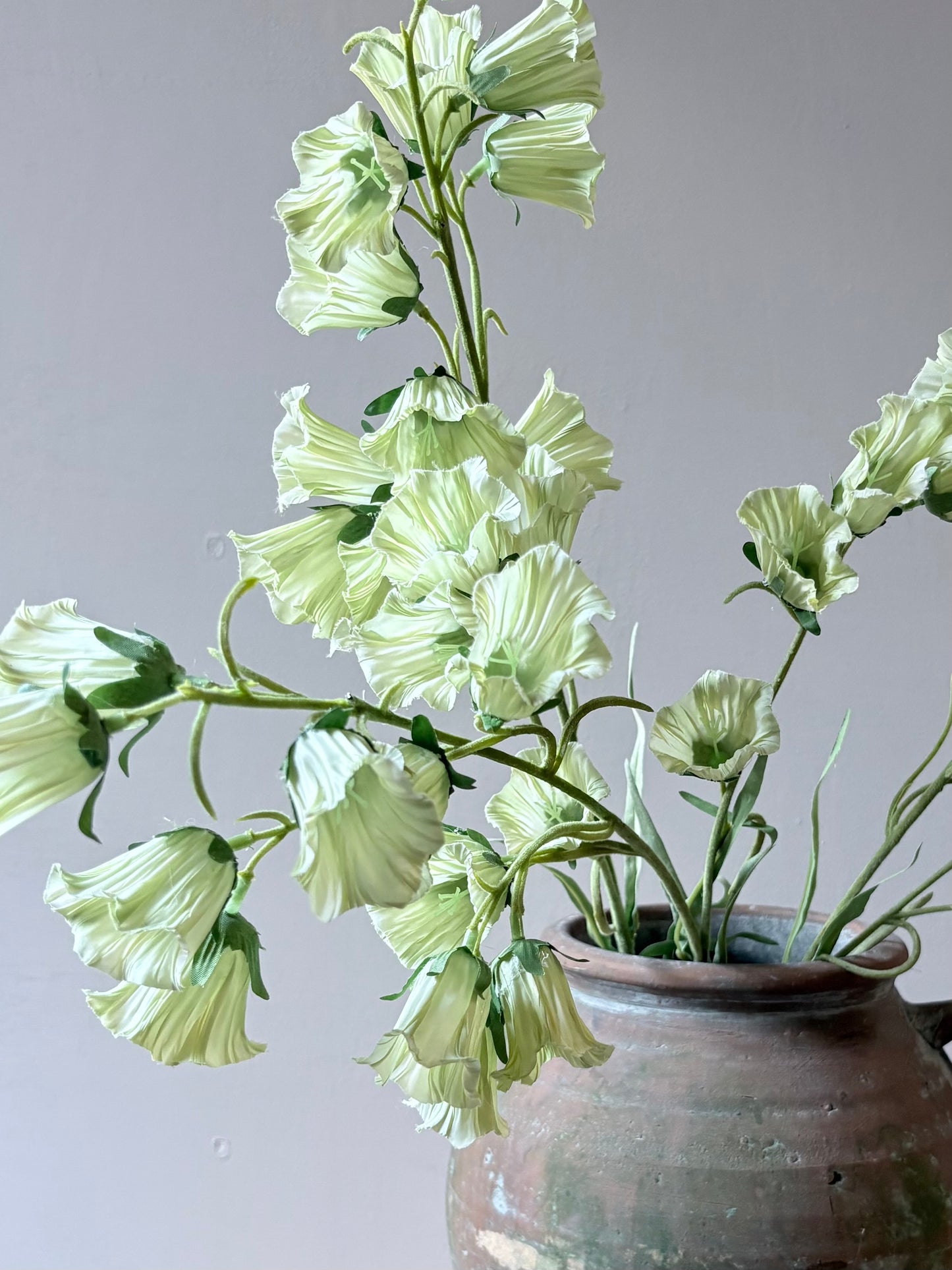 Canterberry Bells - Soft Lime