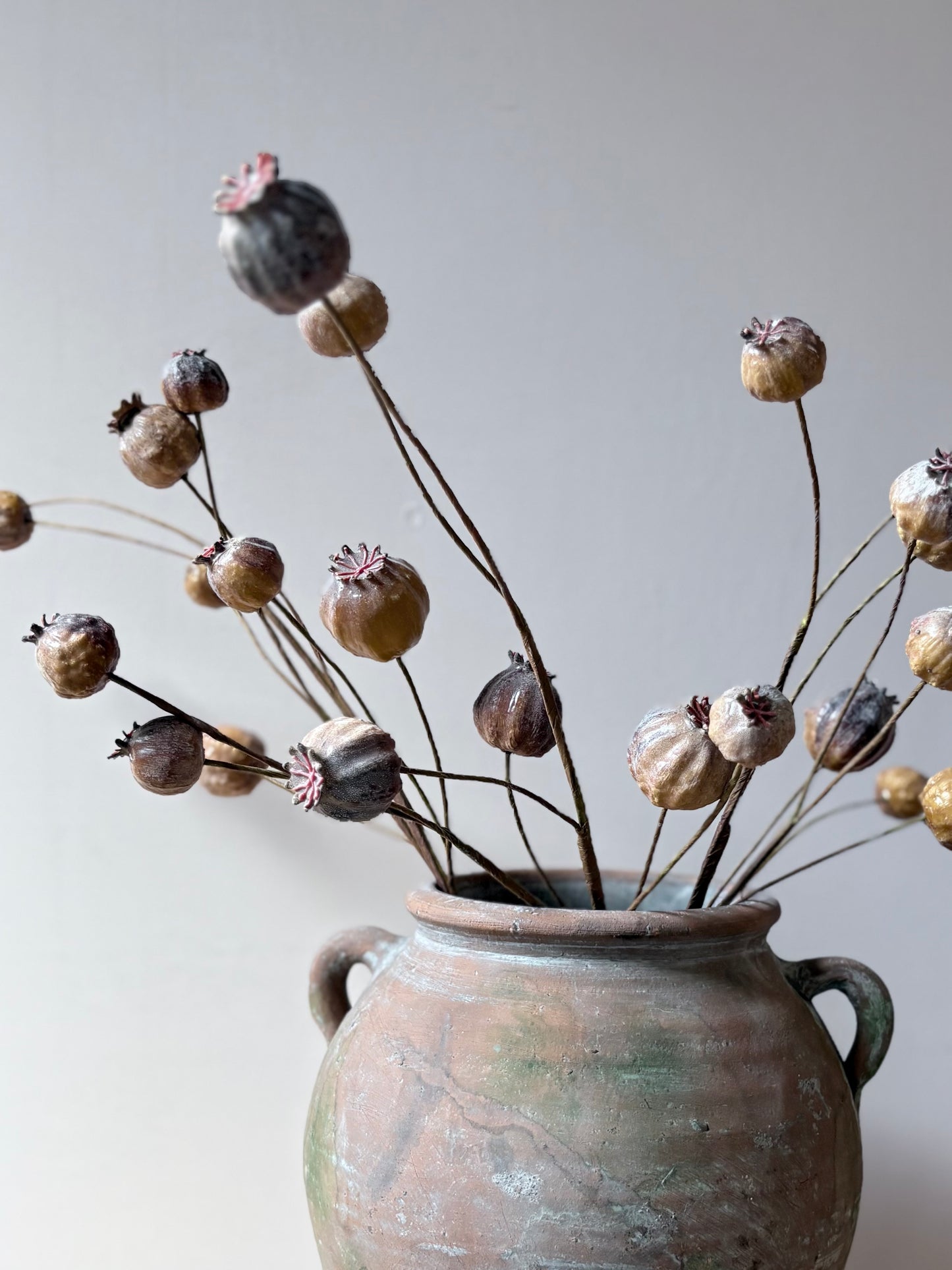 Poppy Seed Head - Brown