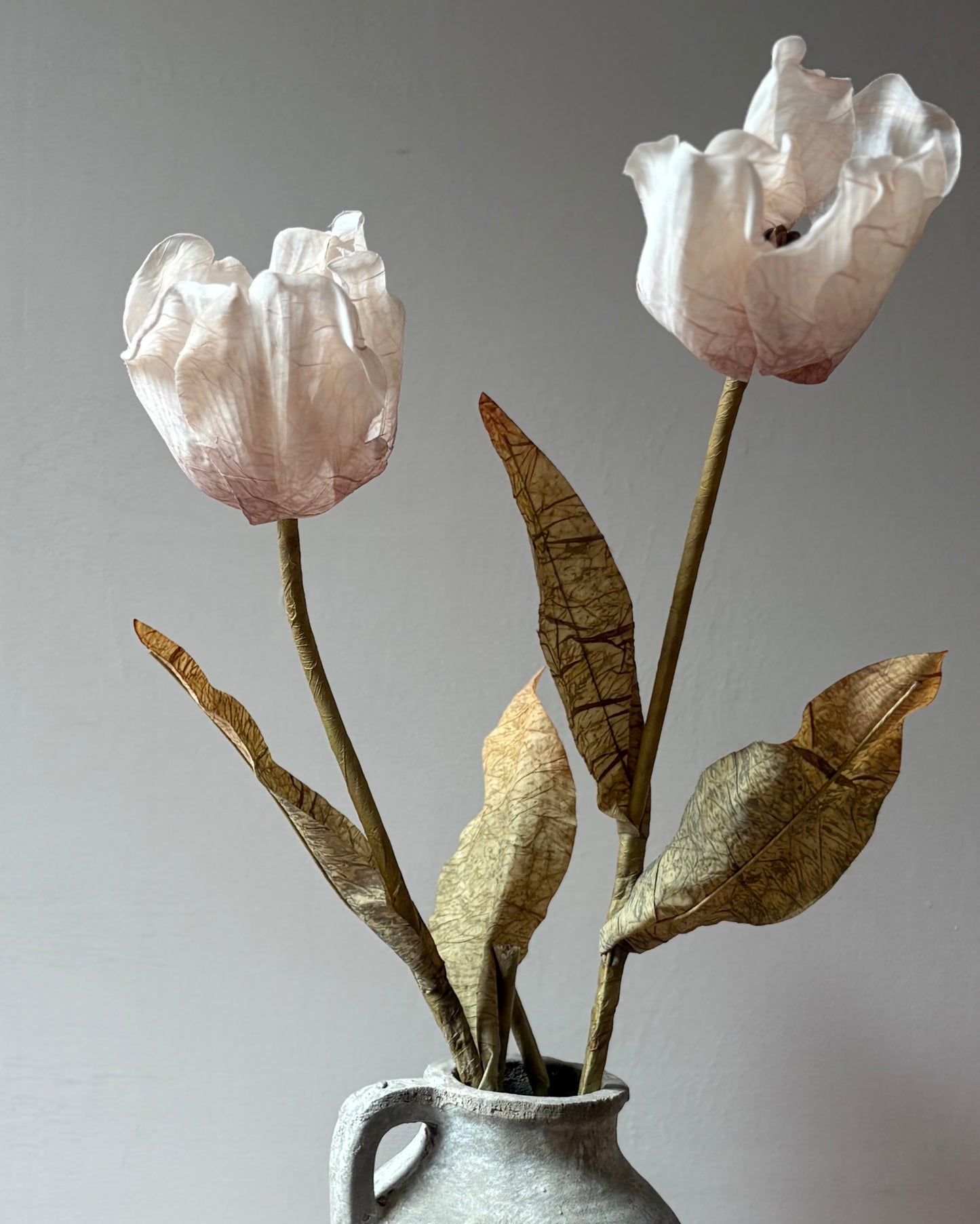 Oyster Tulip Stem