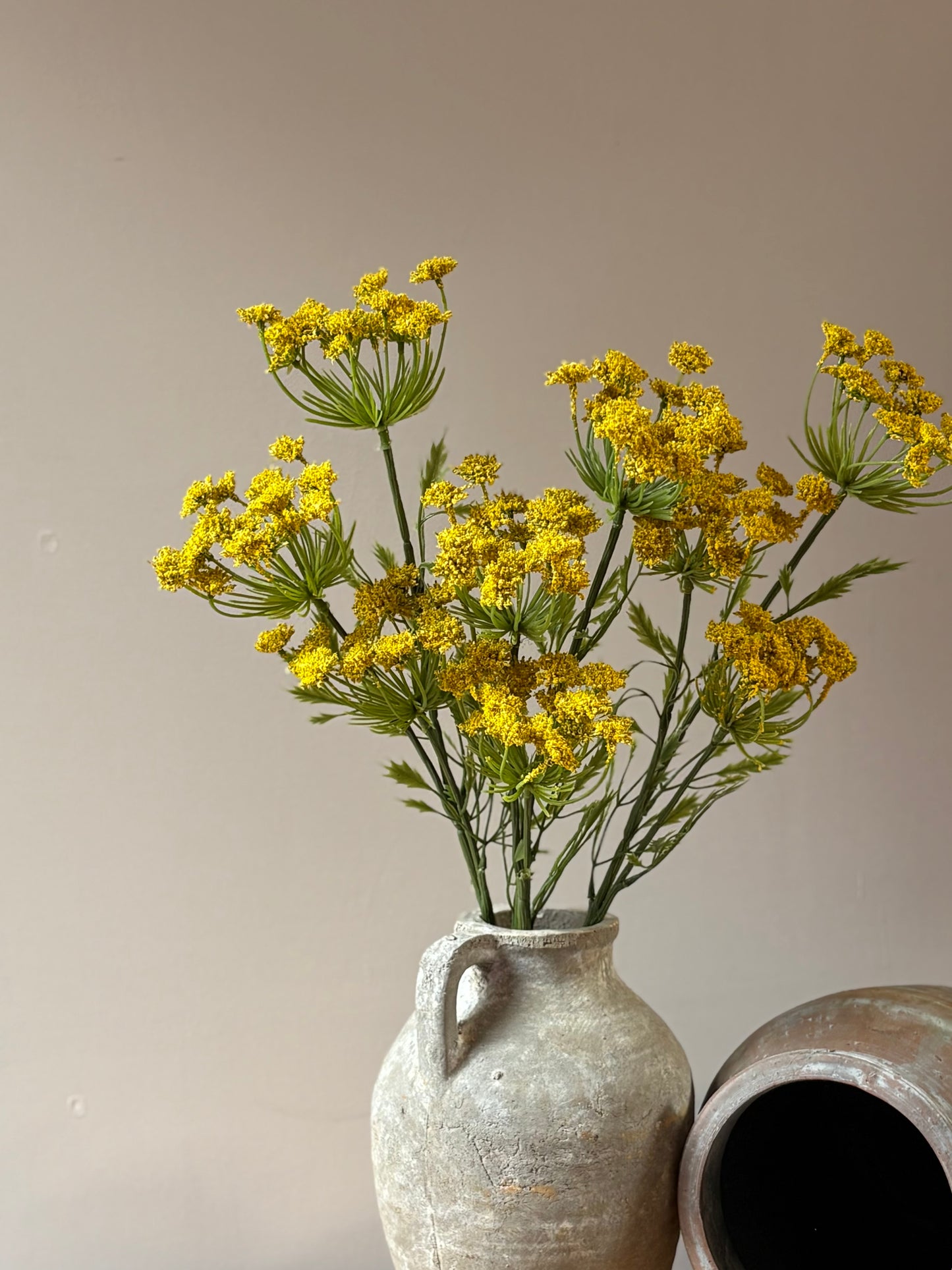 Cow Parsley Yellow