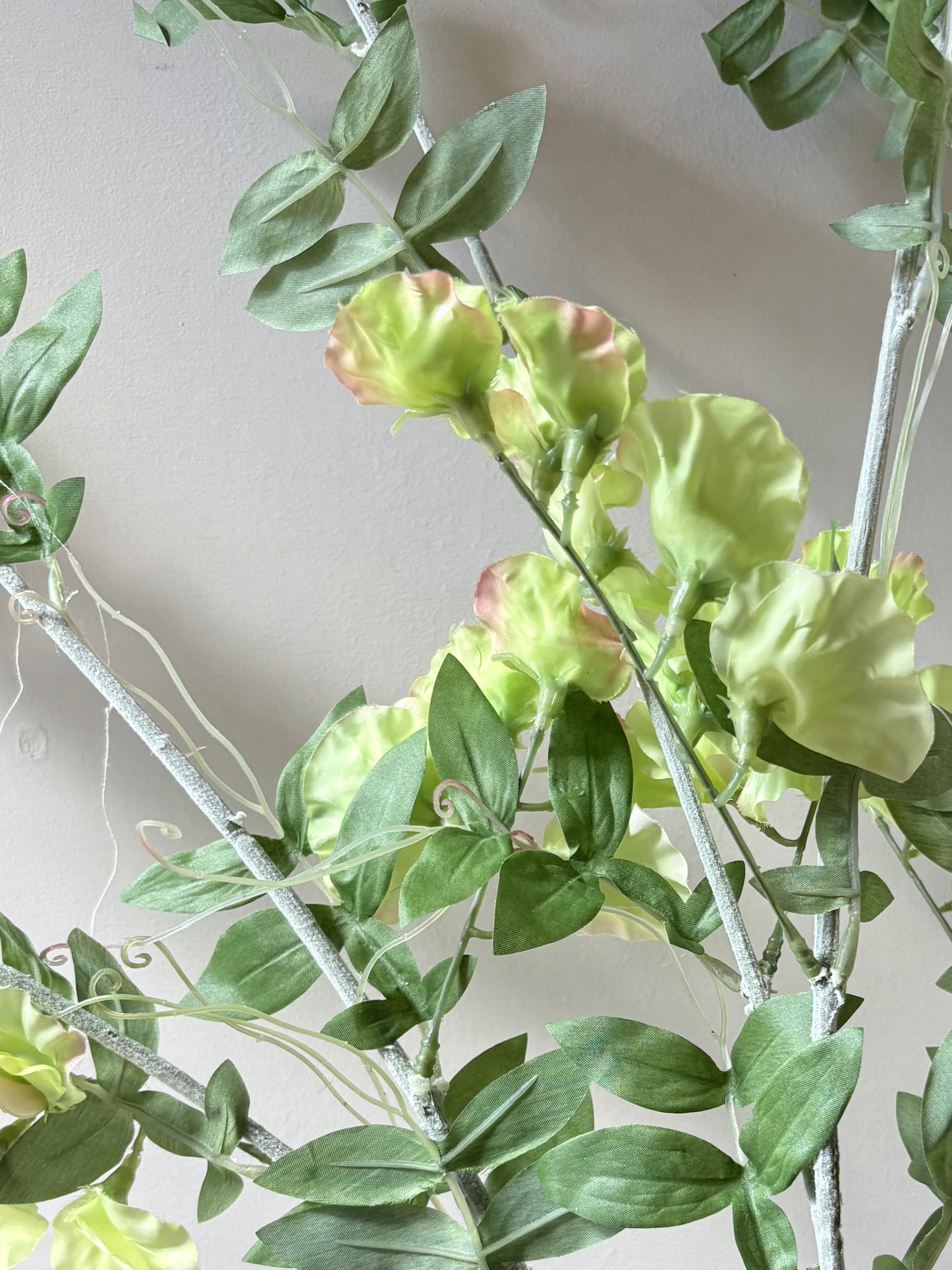 Wild Sweet Pea - Soft Lime