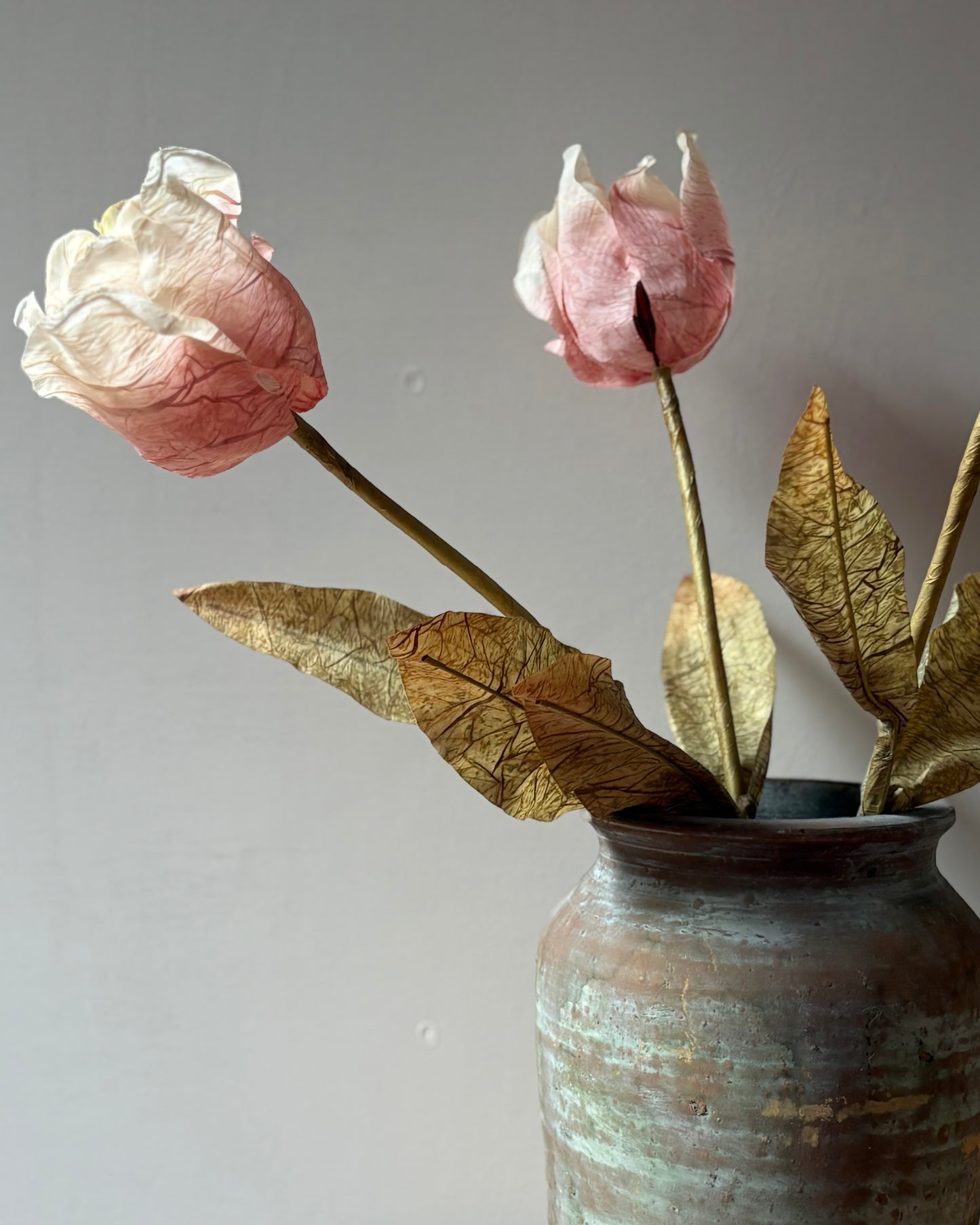 Dusty Pink Tulip