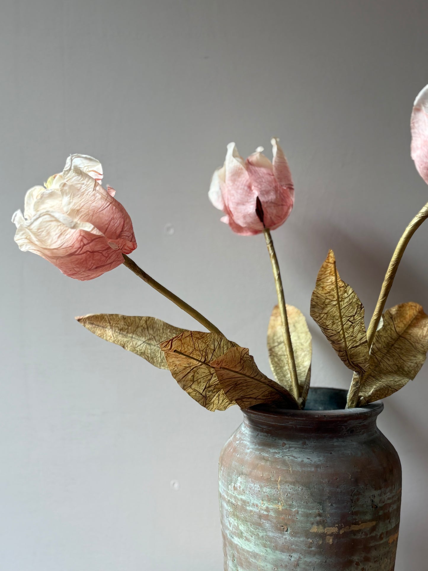 Dusty Pink Tulip