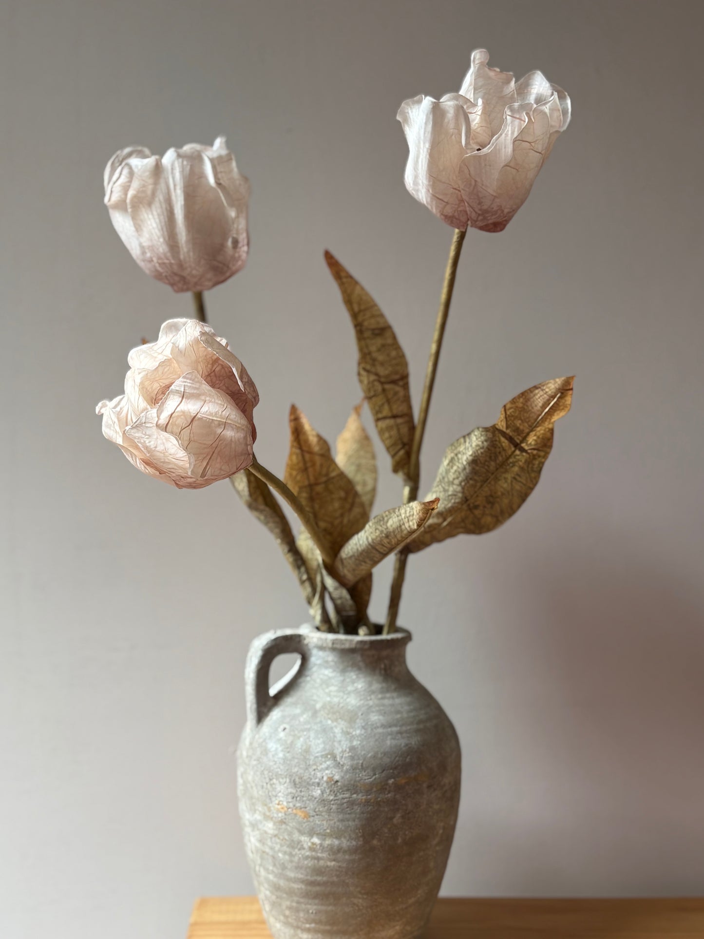 Oyster Tulip Stem