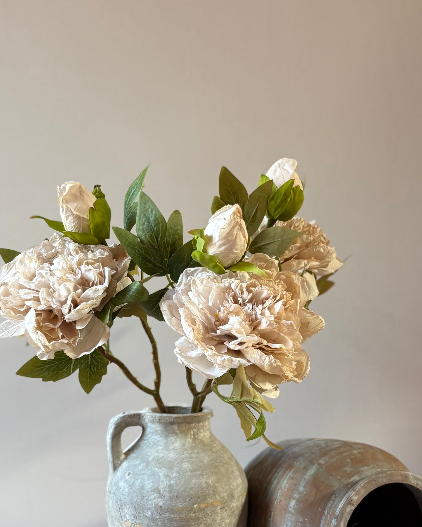 Full Bloom Double Peony in Nude