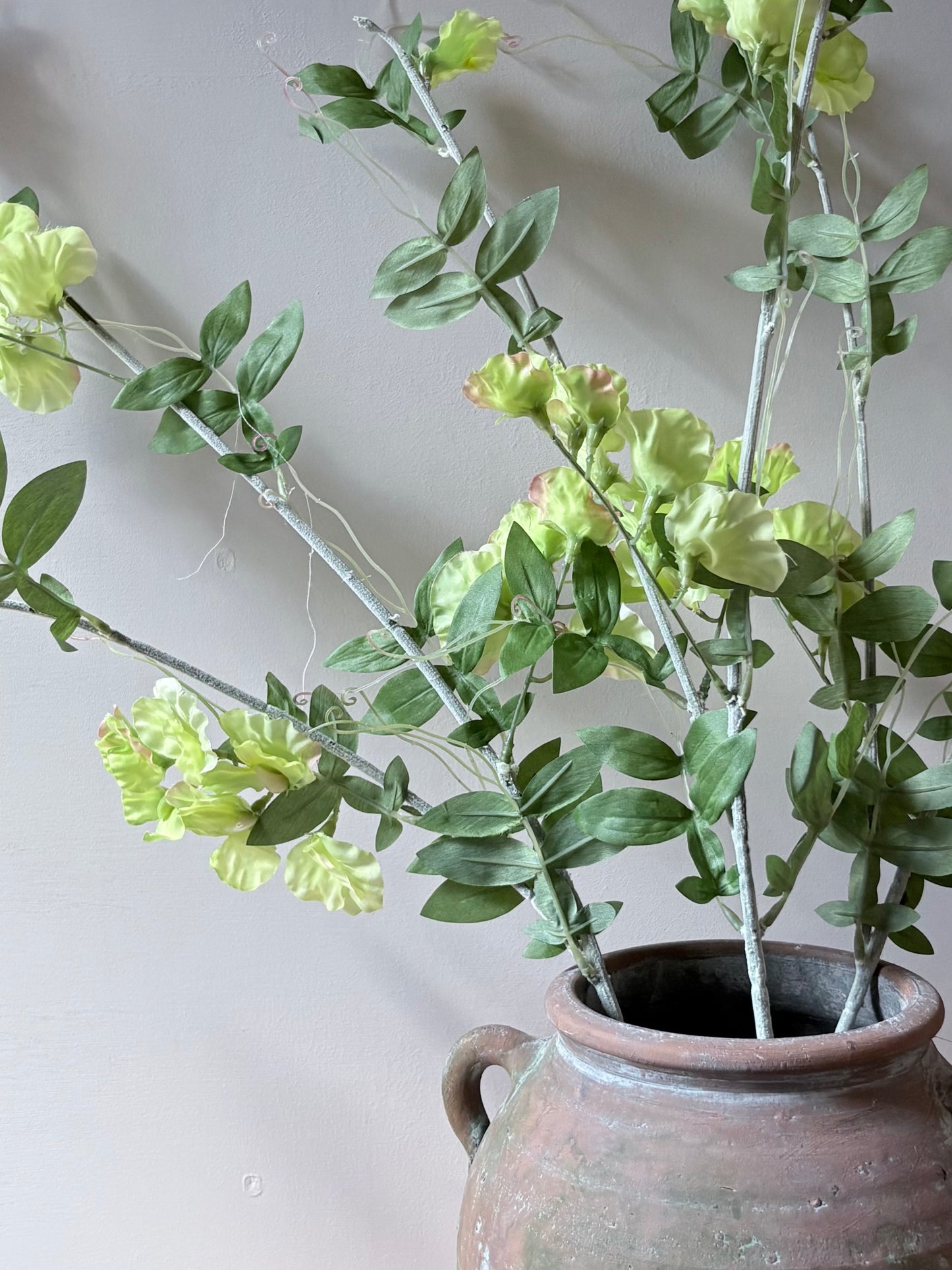 Wild Sweet Pea - Soft Lime