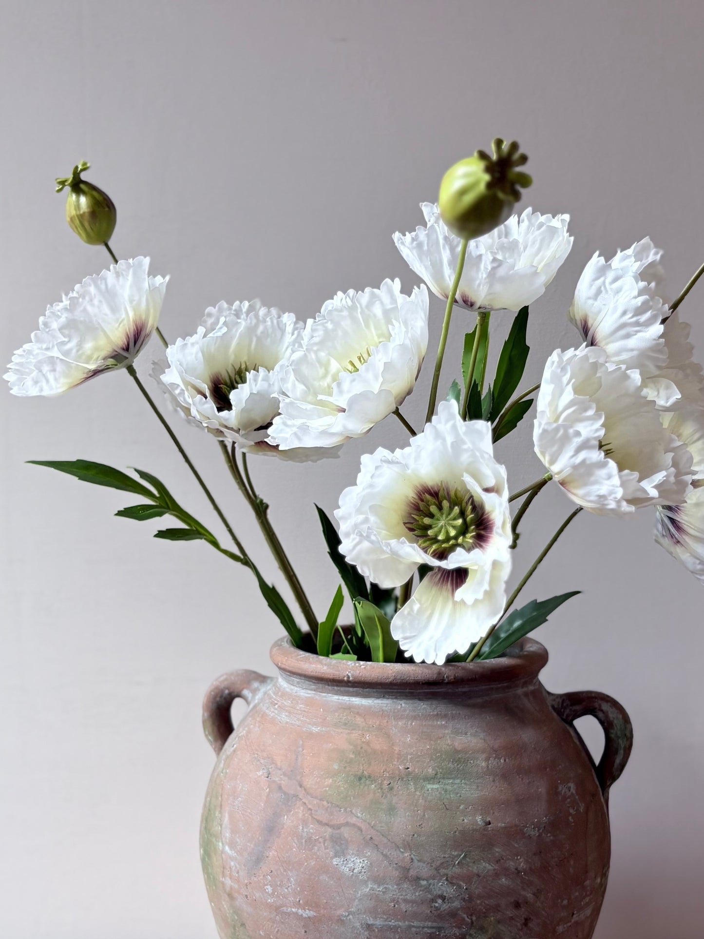 Country Poppy White- Aubergine