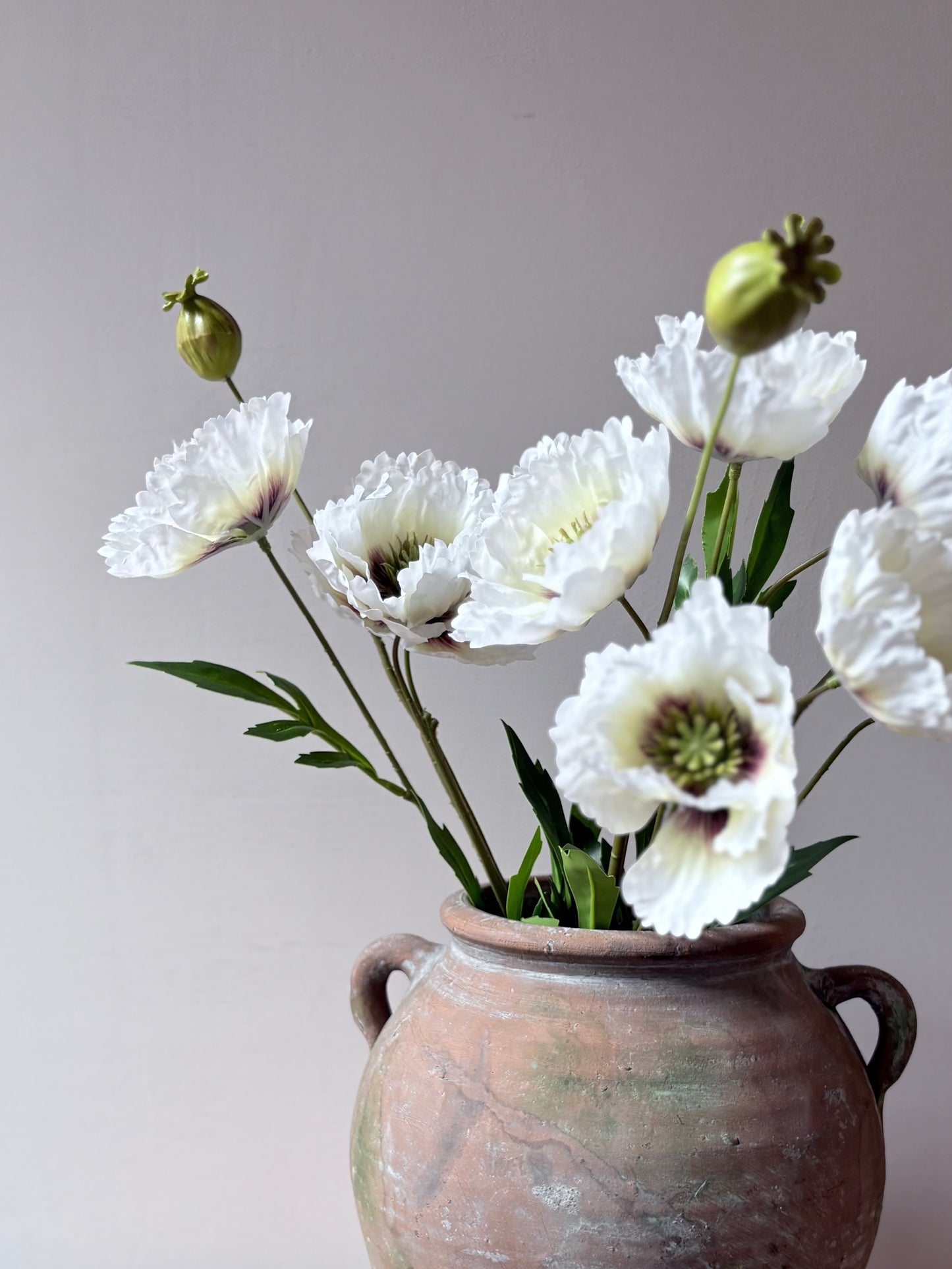 Country Poppy White- Aubergine