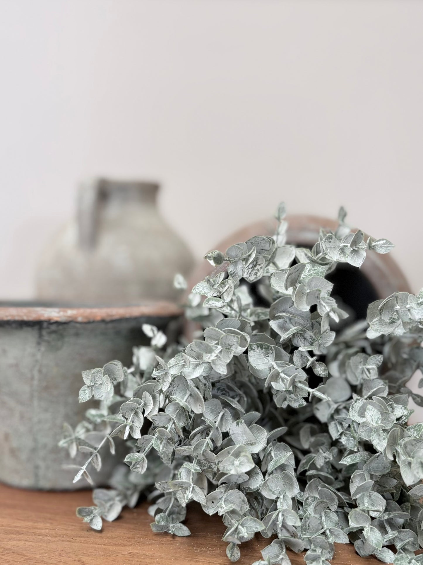 Mini Eucalyptus Bunch
