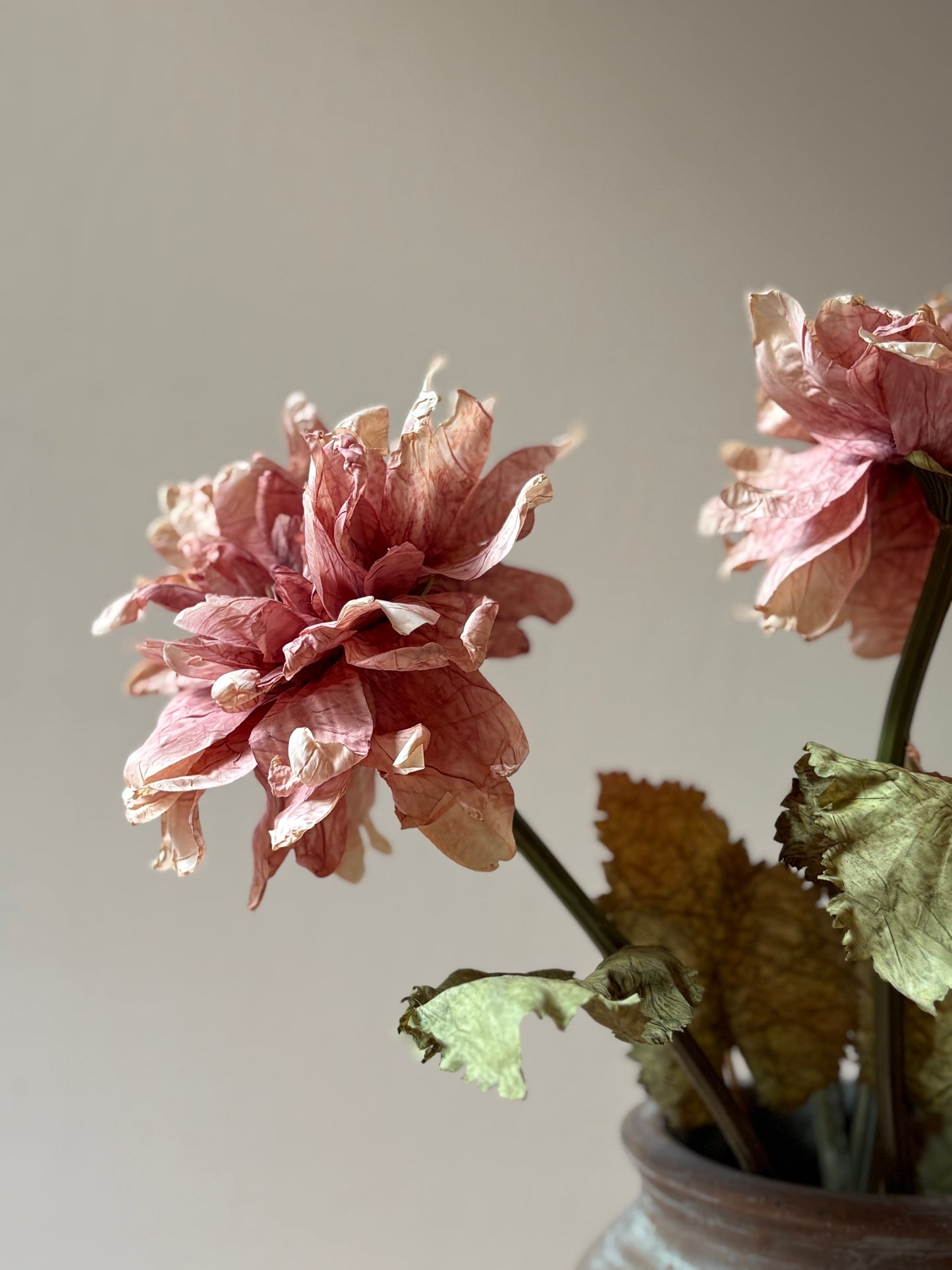 Vintage Dahlia in Dusky Pink