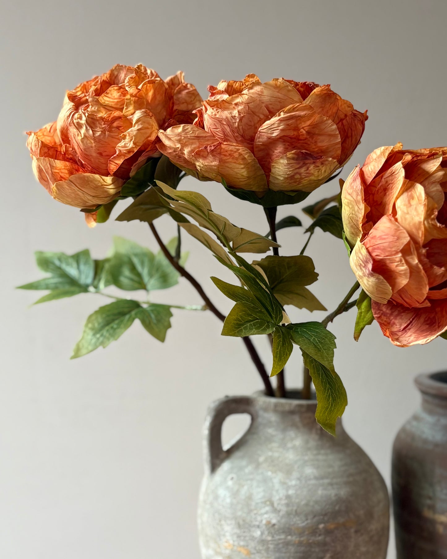 Single Closed Cup Peony in Rust Orange