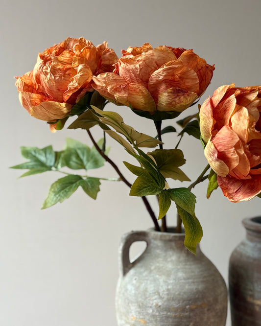 Single Closed Cup Peony in Rust Orange