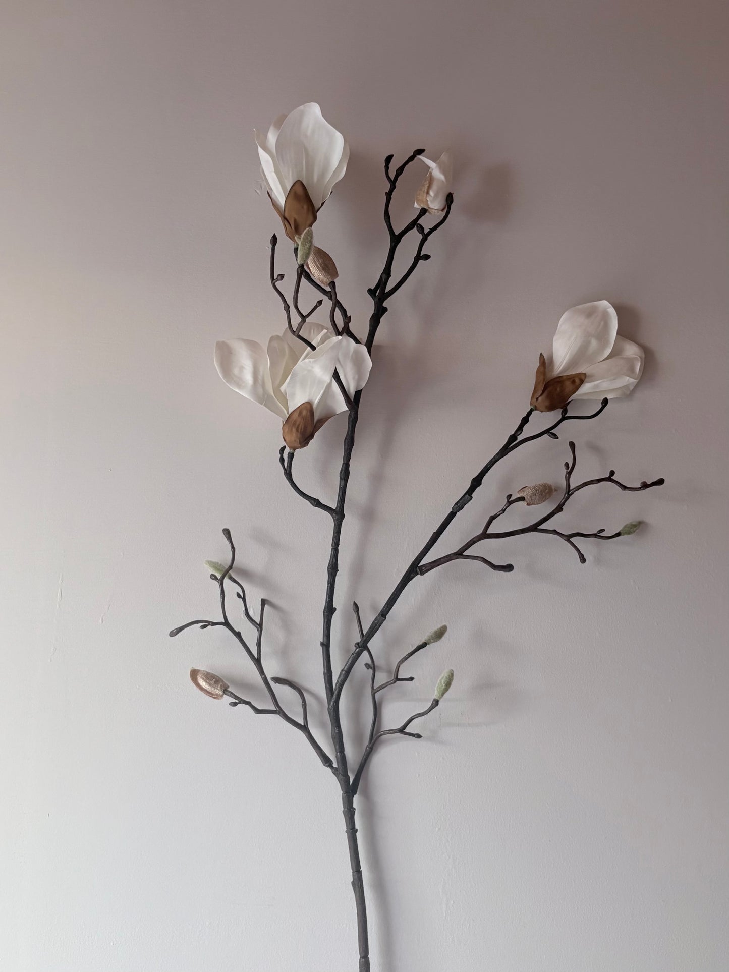 Classic Magnolia