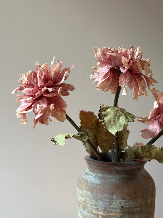 Vintage Dahlia in Dusky Pink
