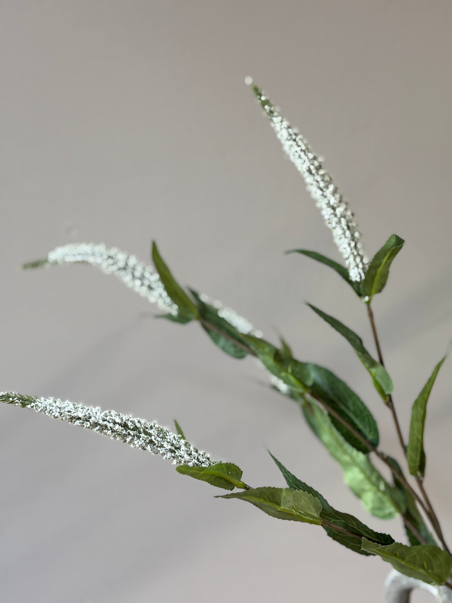 Veronica Stem- White
