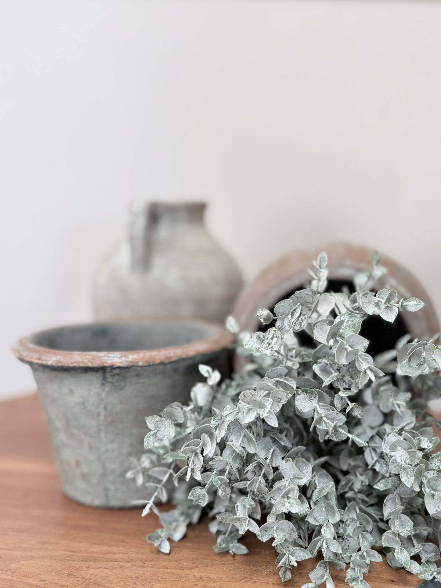 Mini Eucalyptus Bunch