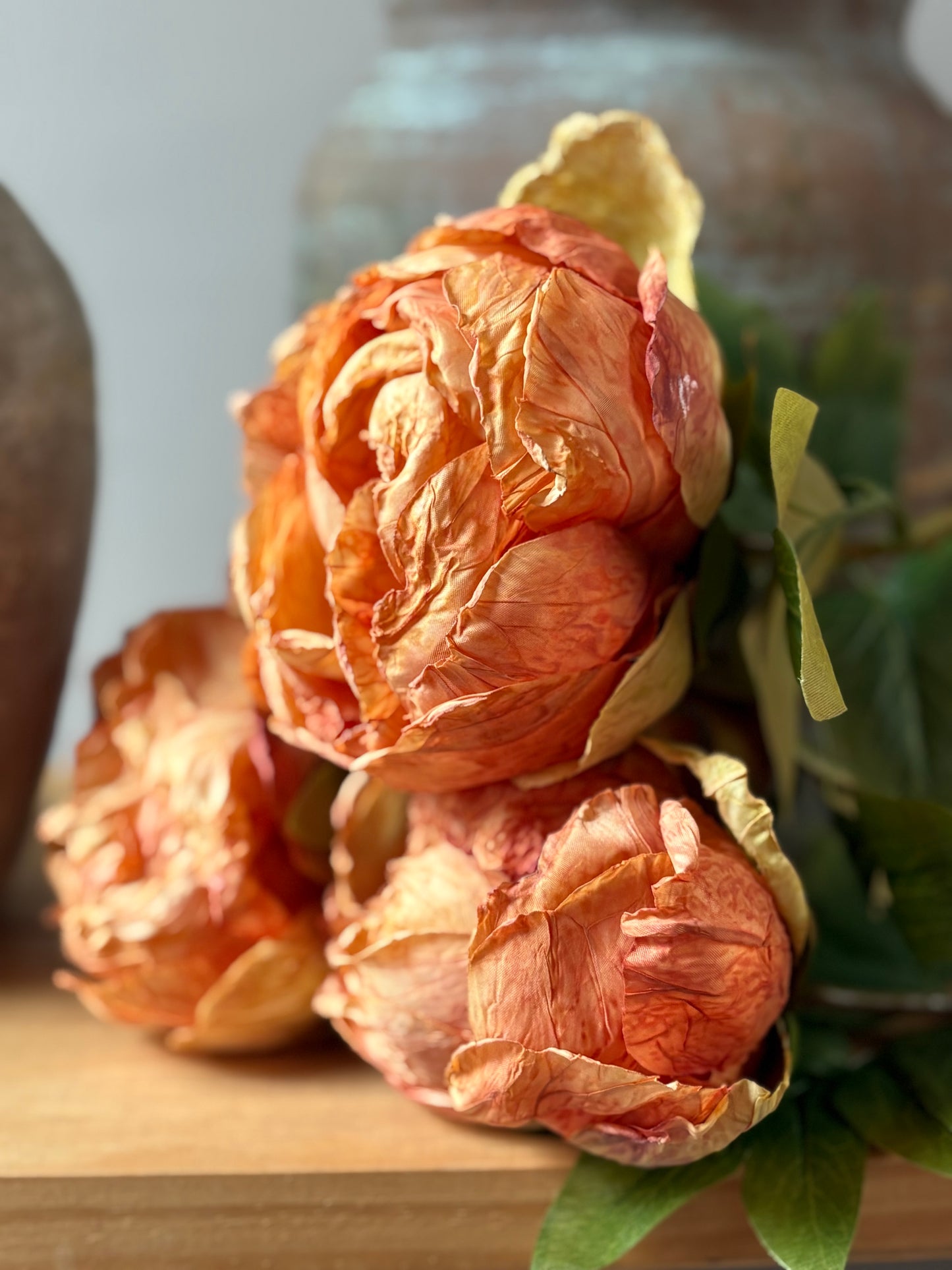 Single Closed Cup Peony in Rust Orange