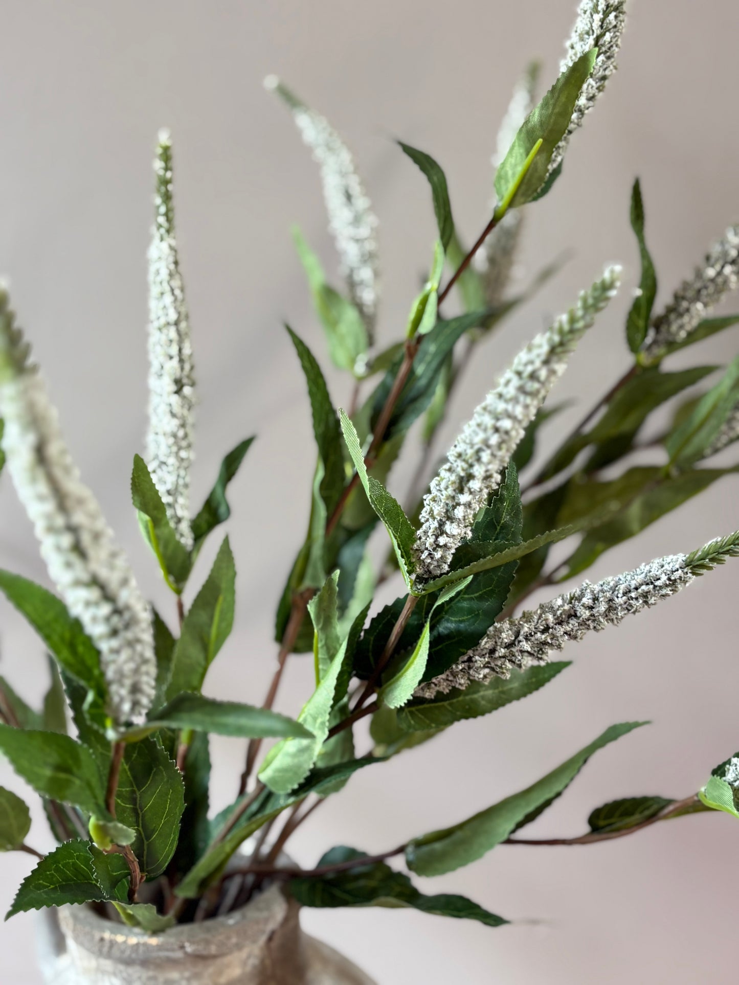 Veronica Stem- White