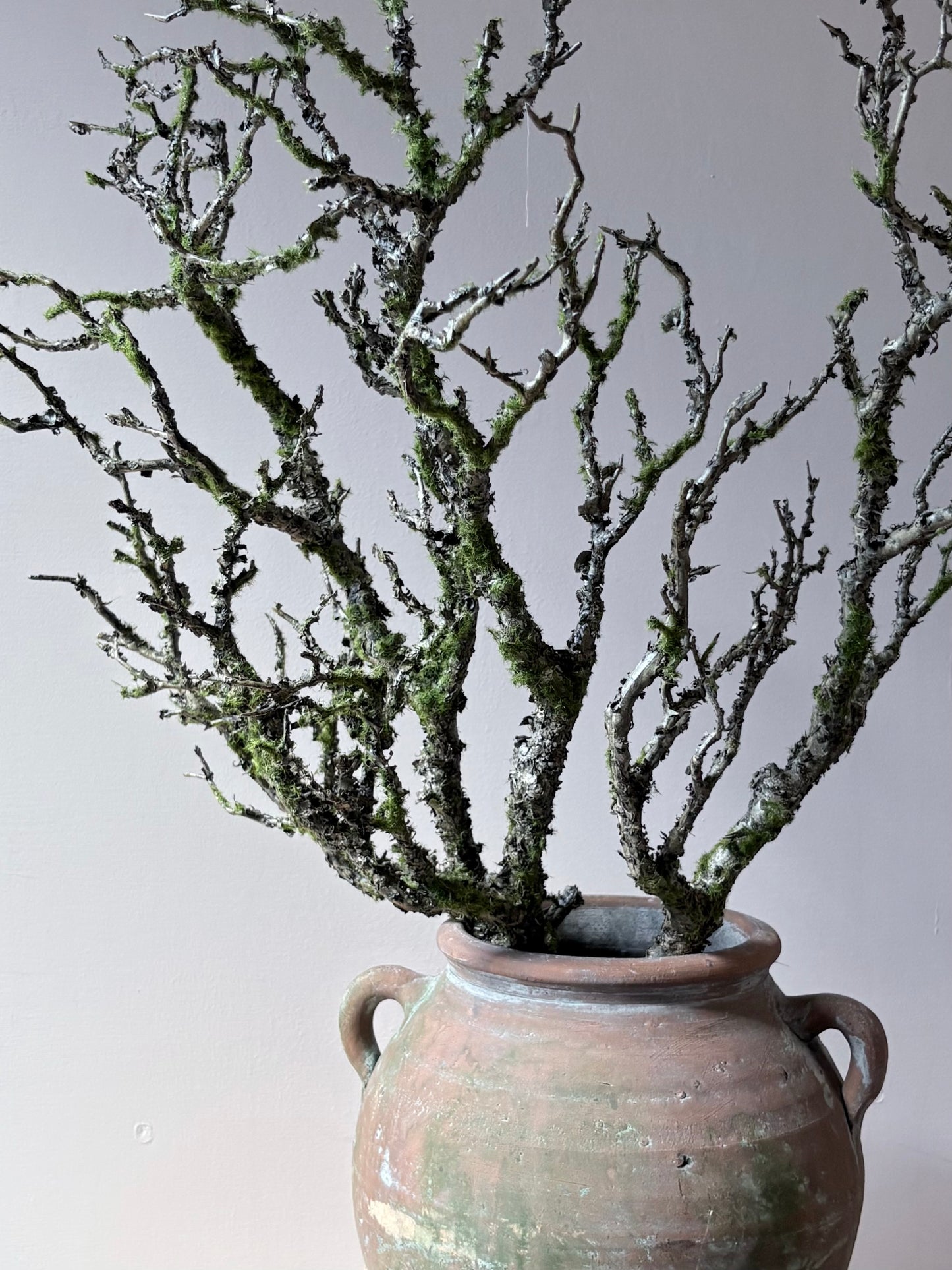 Moss Woodland Branch