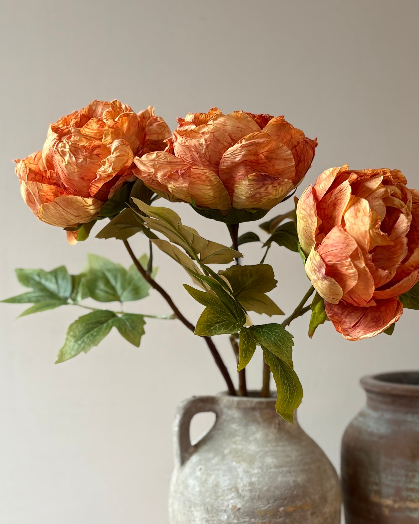 Single Closed Cup Peony in Rust Orange