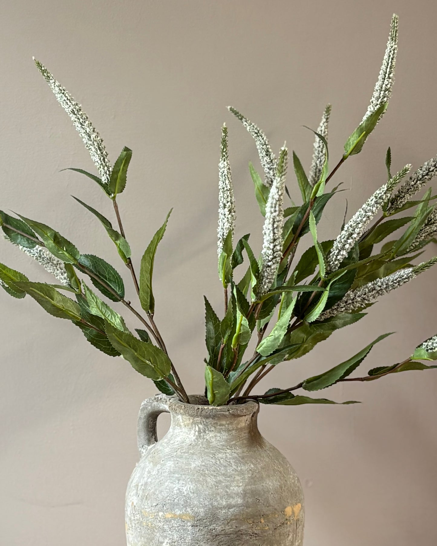 Veronica Stem- White
