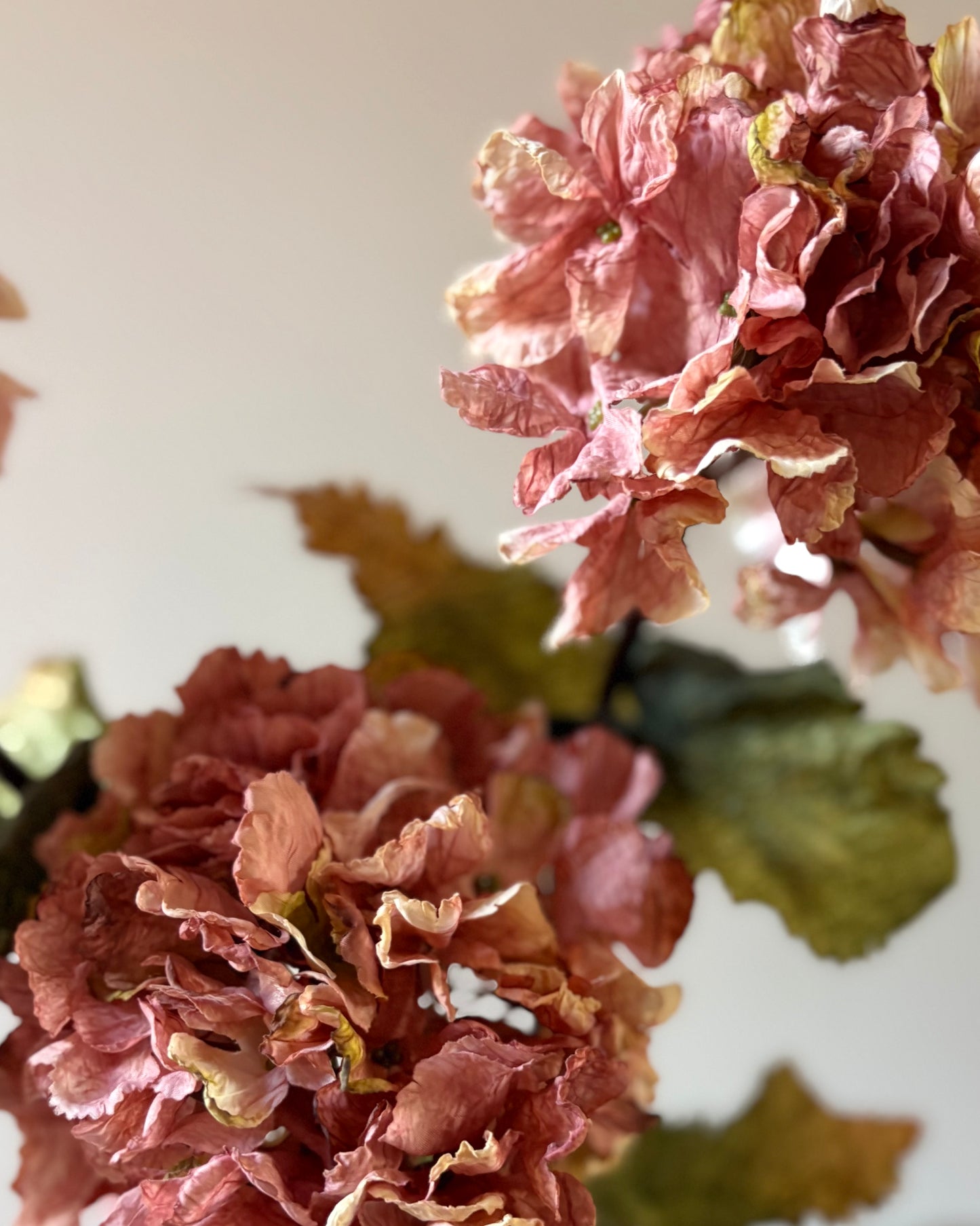 Vintage Hydrangea - Dusky Pink