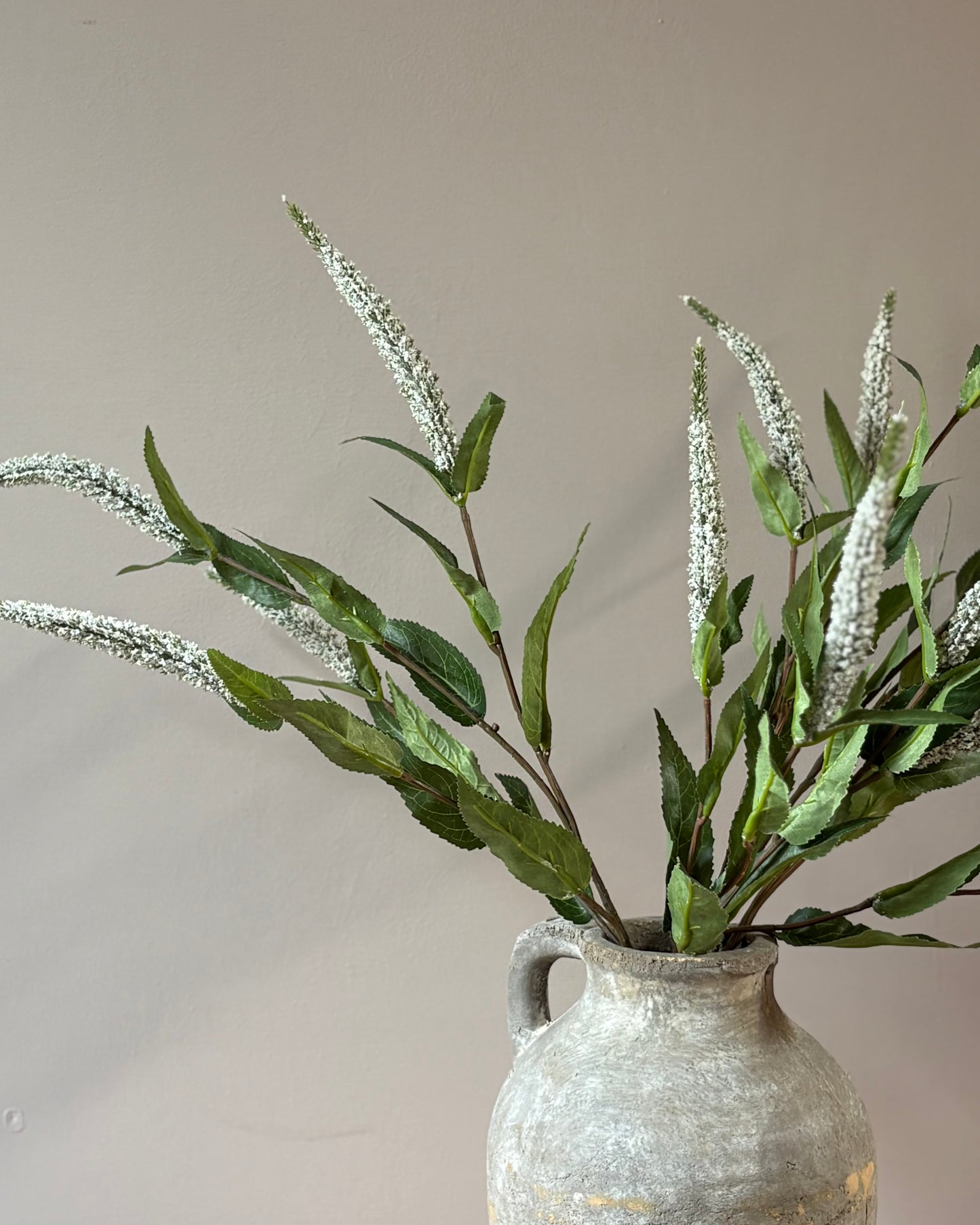 Veronica Stem- White