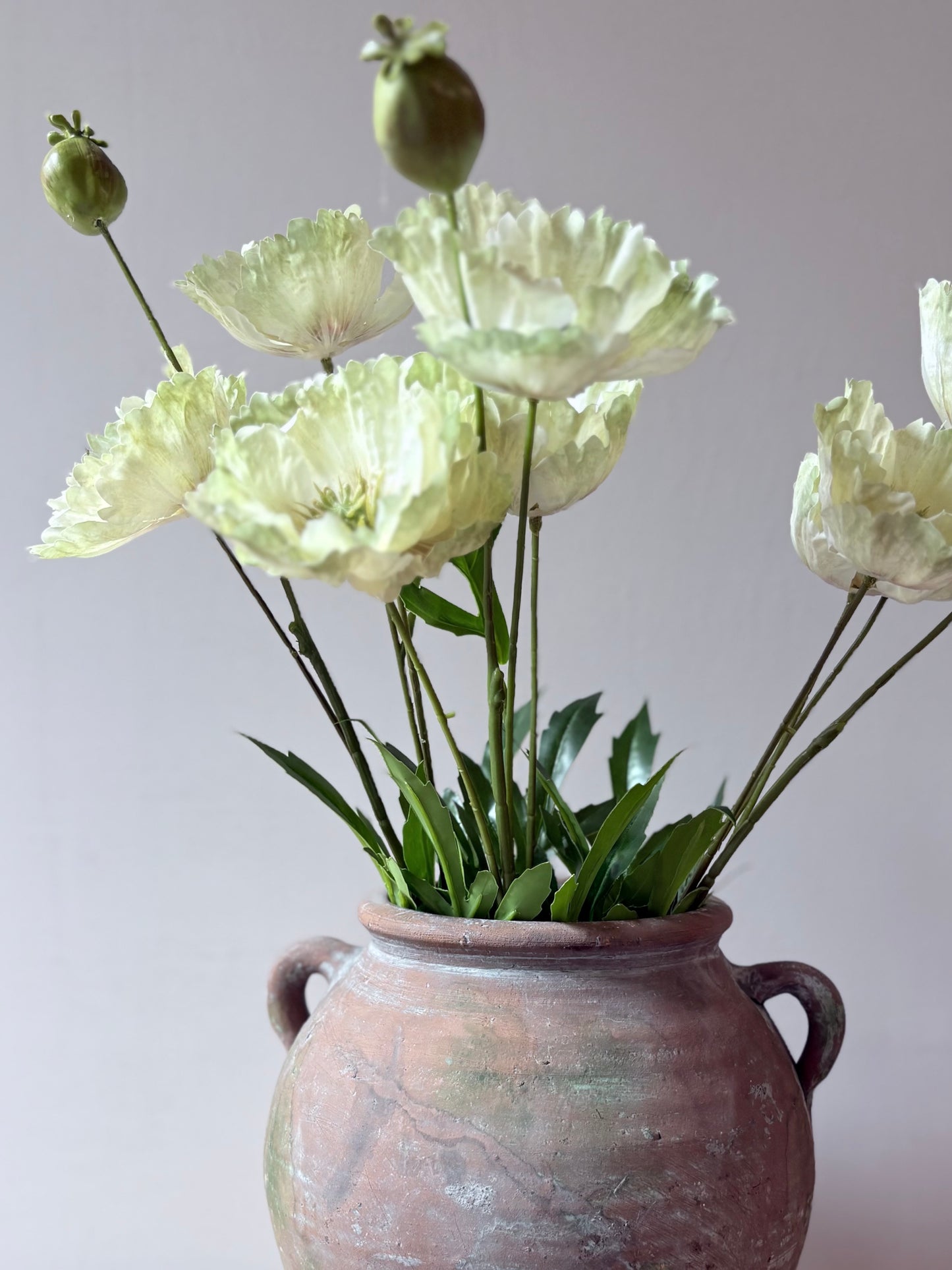 Country Poppy - Soft Lime-Green