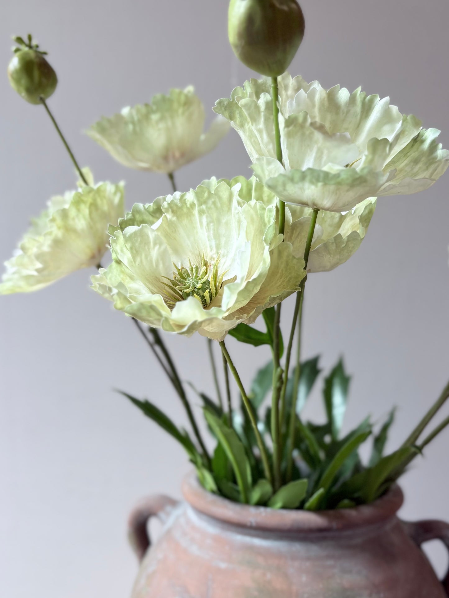 Country Poppy - Soft Lime-Green