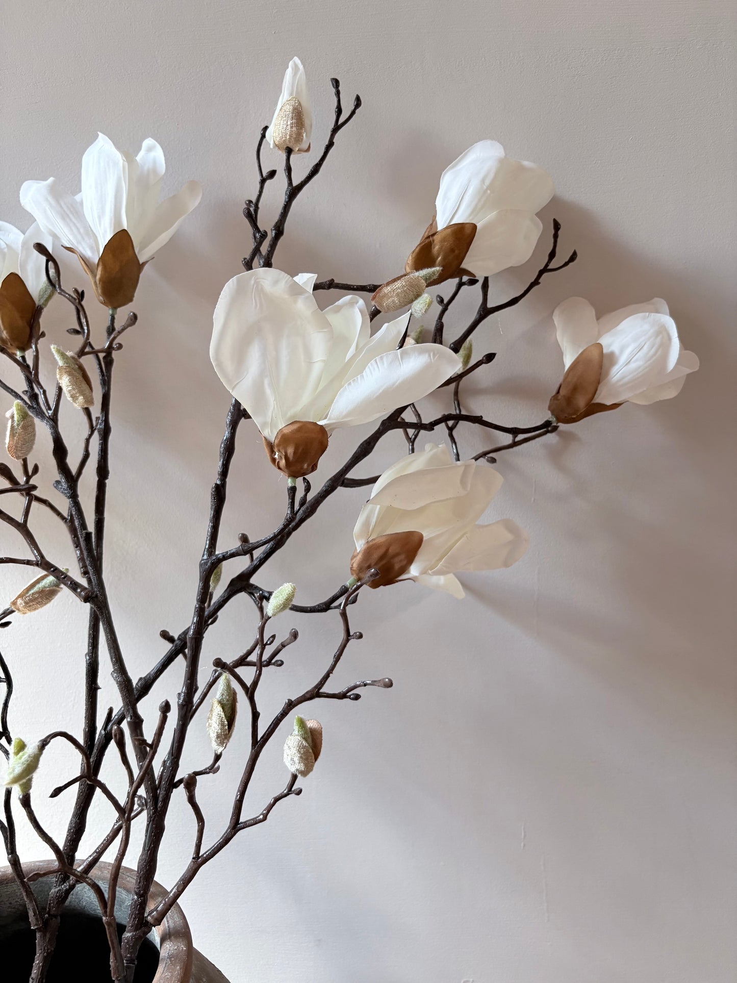 Classic Magnolia