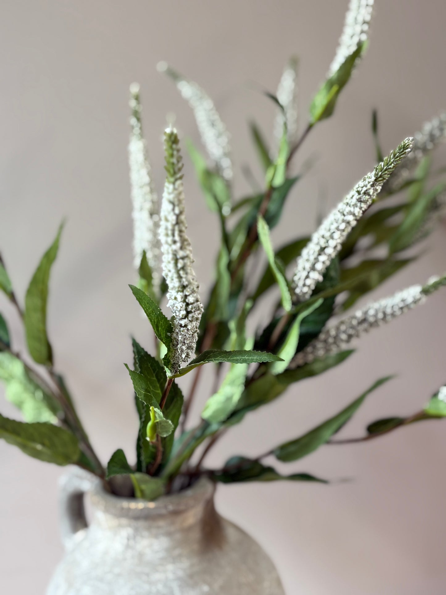 Veronica Stem- White