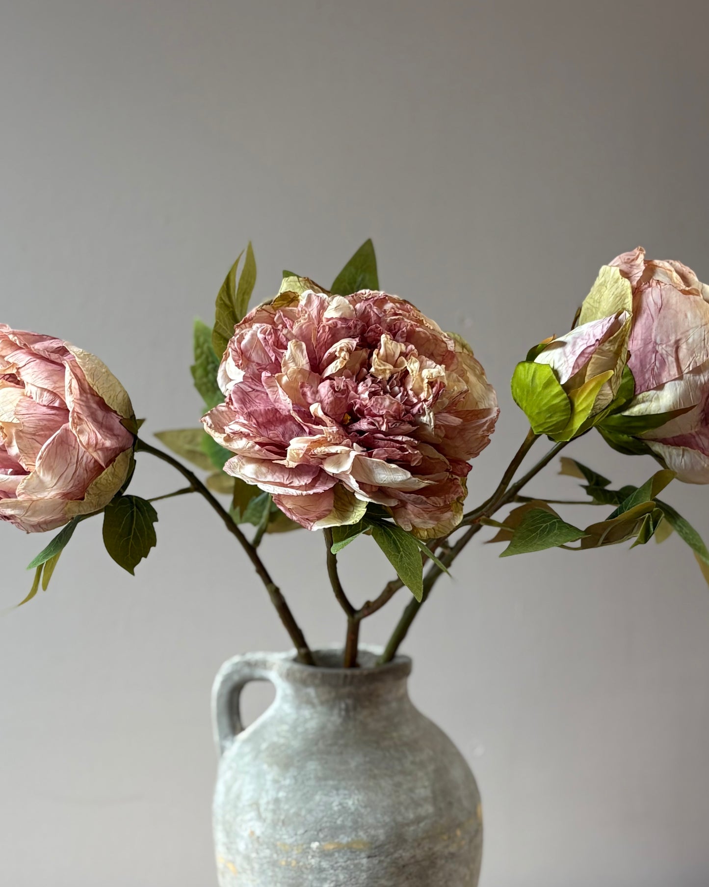 Full Bloom Peony - Dusky Pink