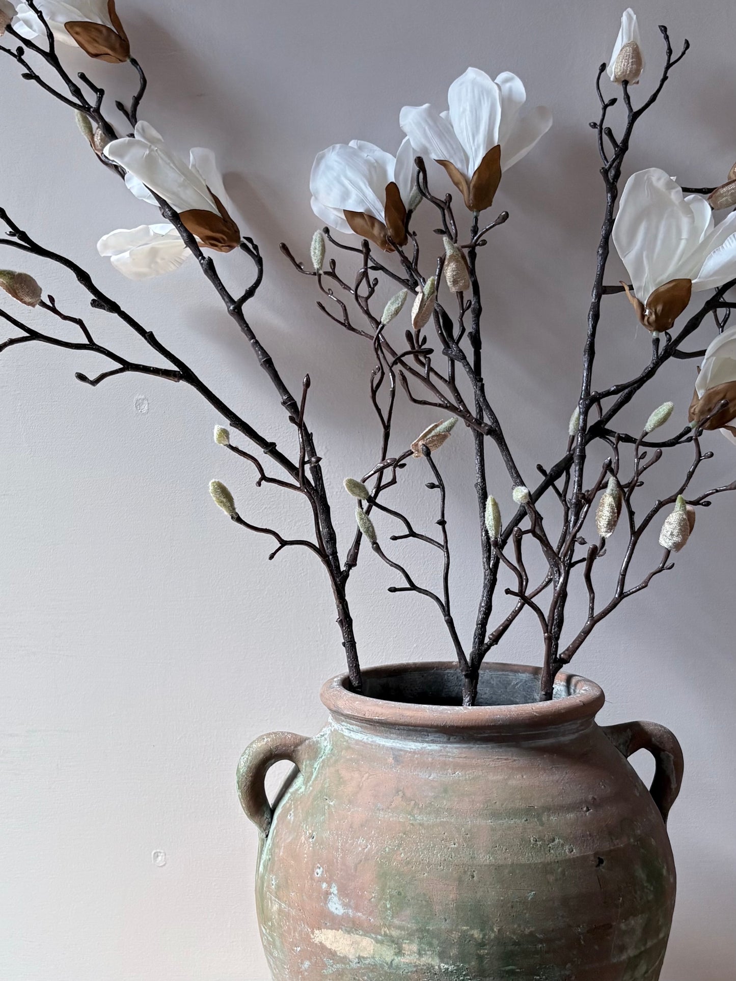 Classic Magnolia