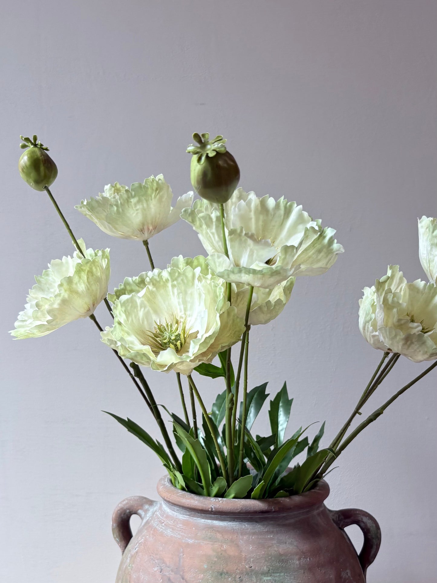 Country Poppy - Soft Lime-Green