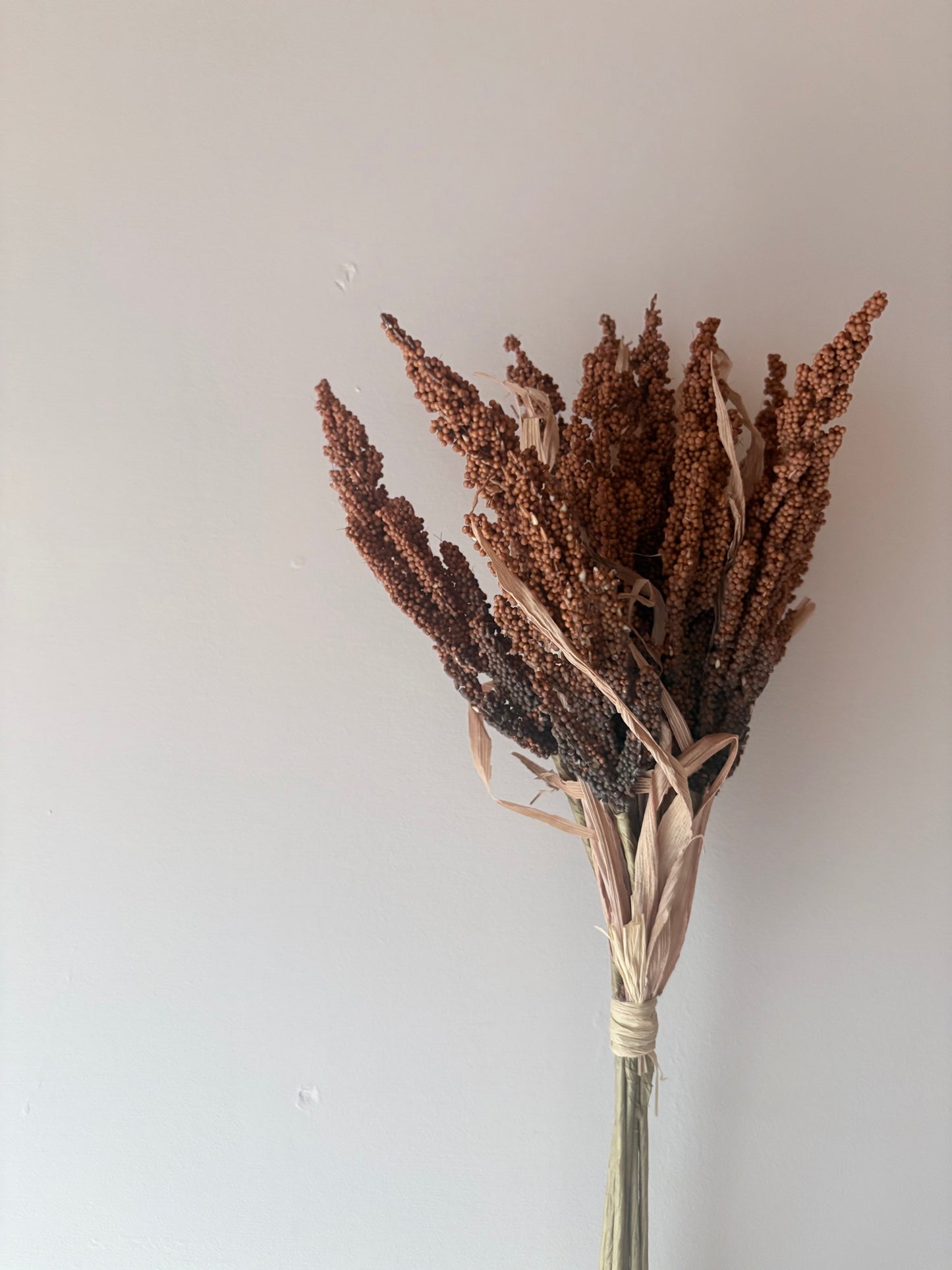 Wheat Bunch - Rust Orange