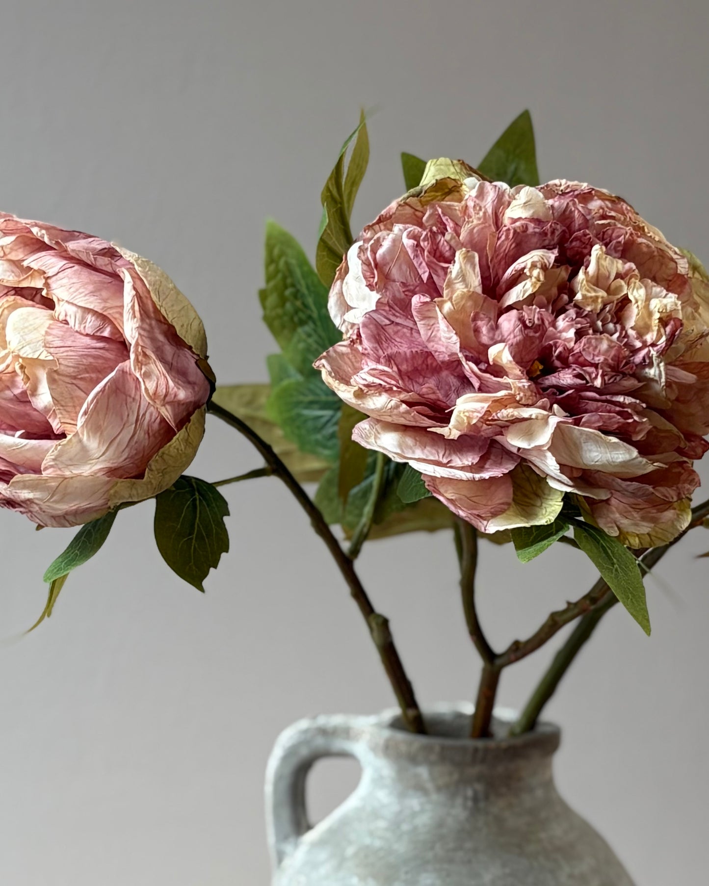 Full Bloom Peony - Dusky Pink