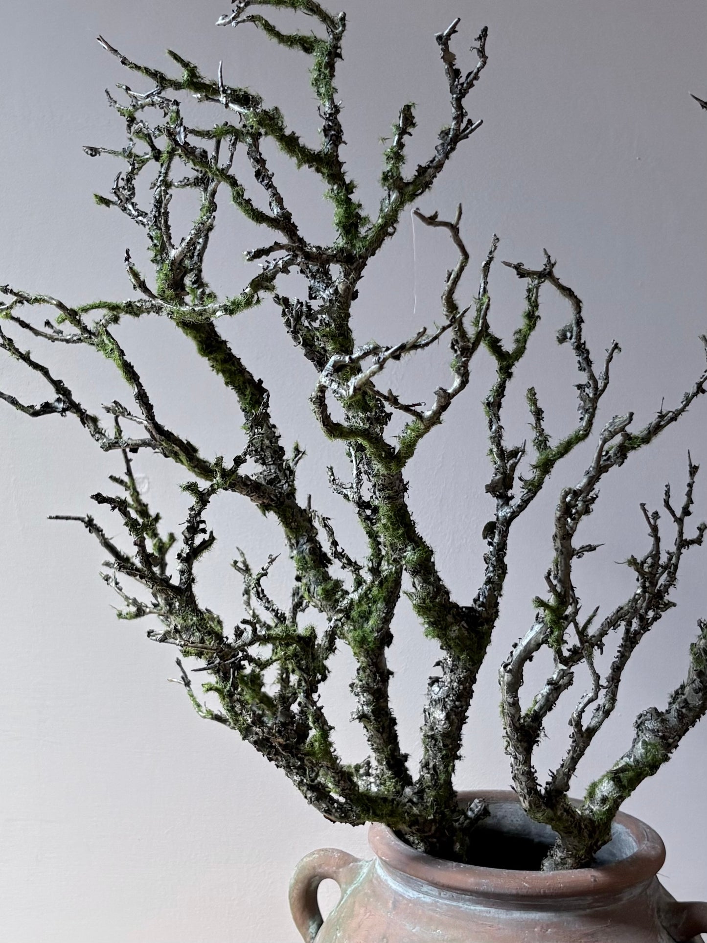 Moss Woodland Branch