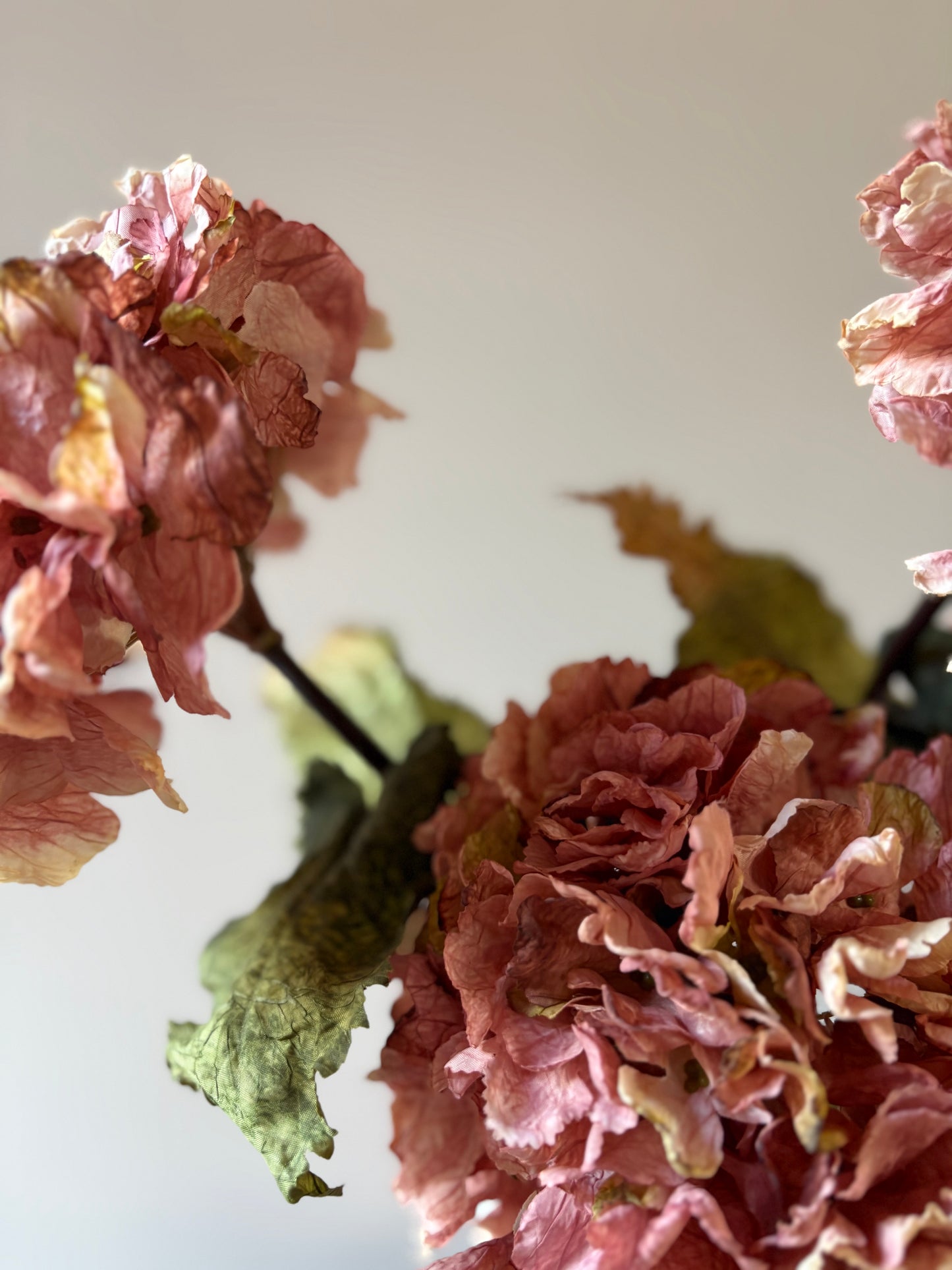 Vintage Hydrangea - Dusky Pink